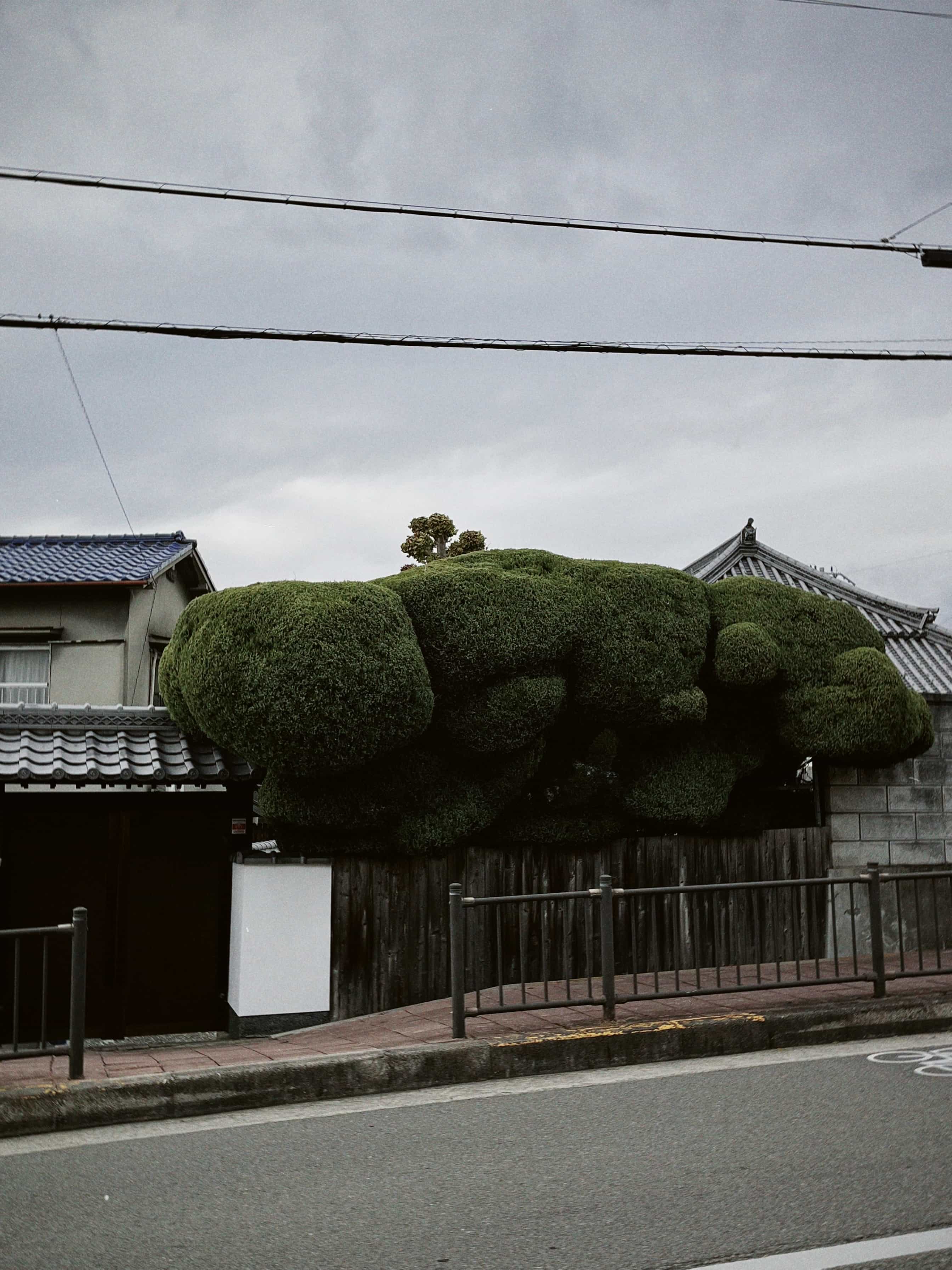 Фото 7 из альбома Japan 2025