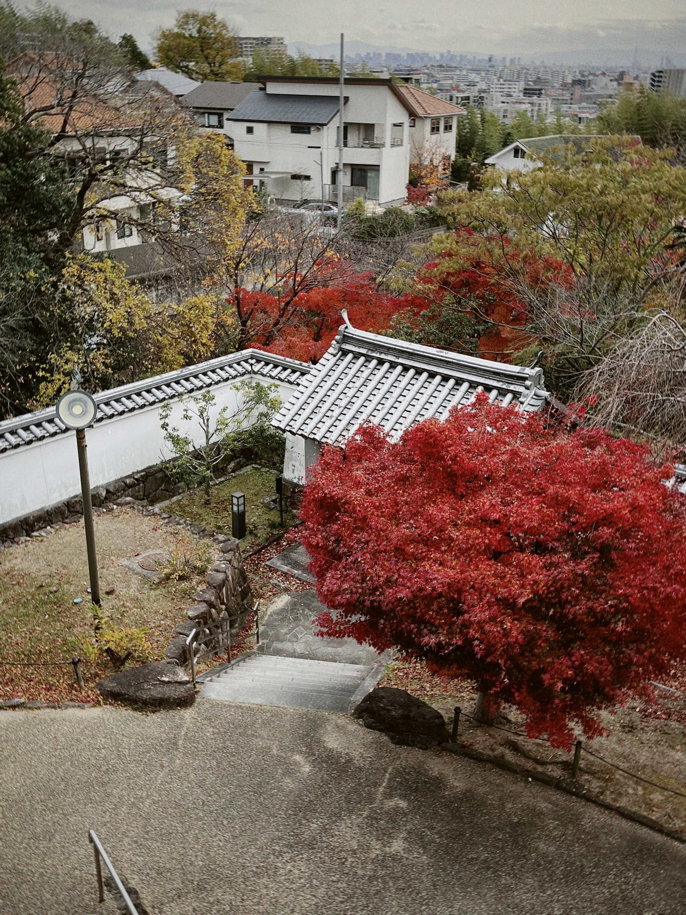 Фото 8 из альбома Japan 2025