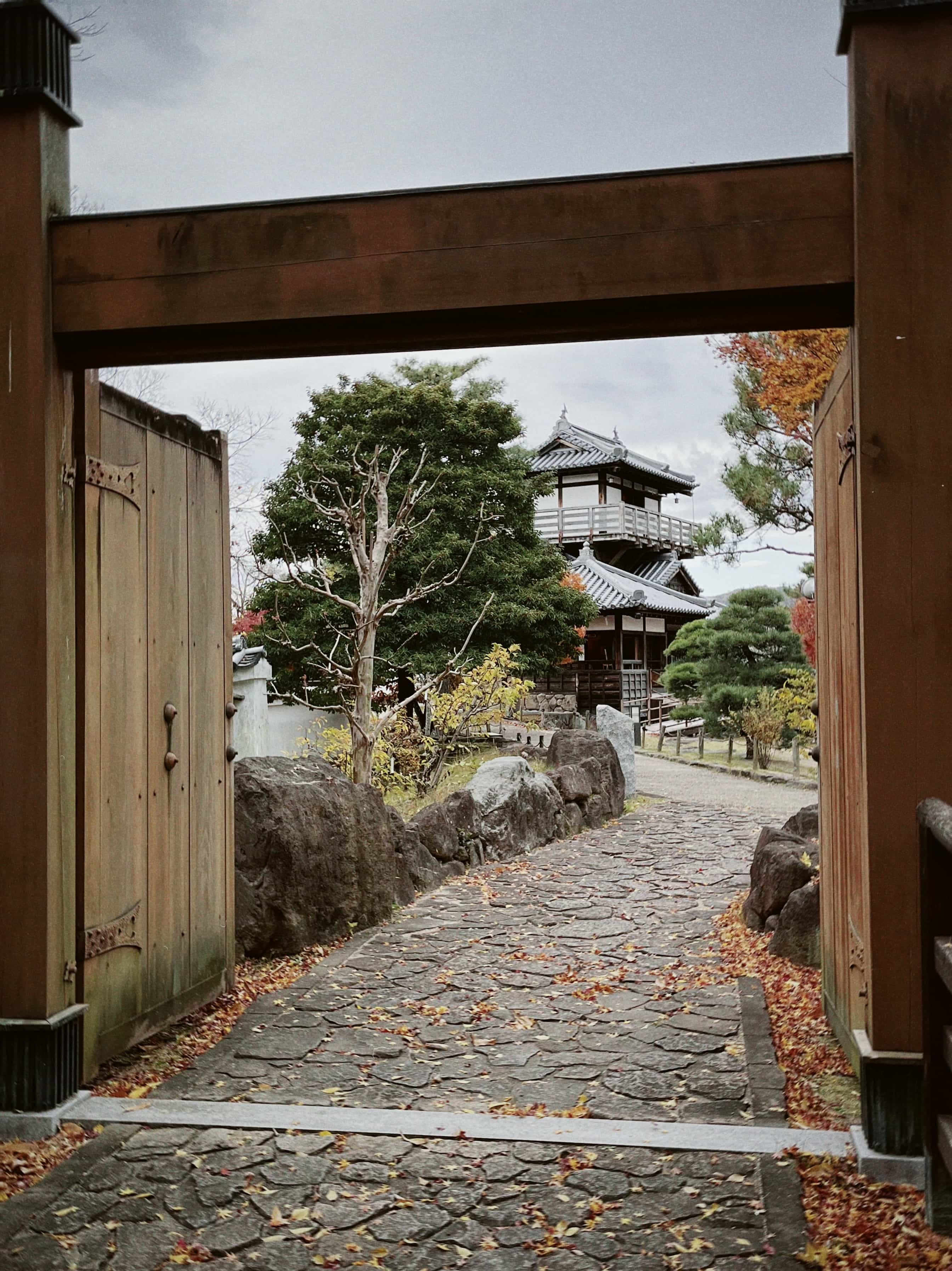 Фото 9 из альбома Japan 2025