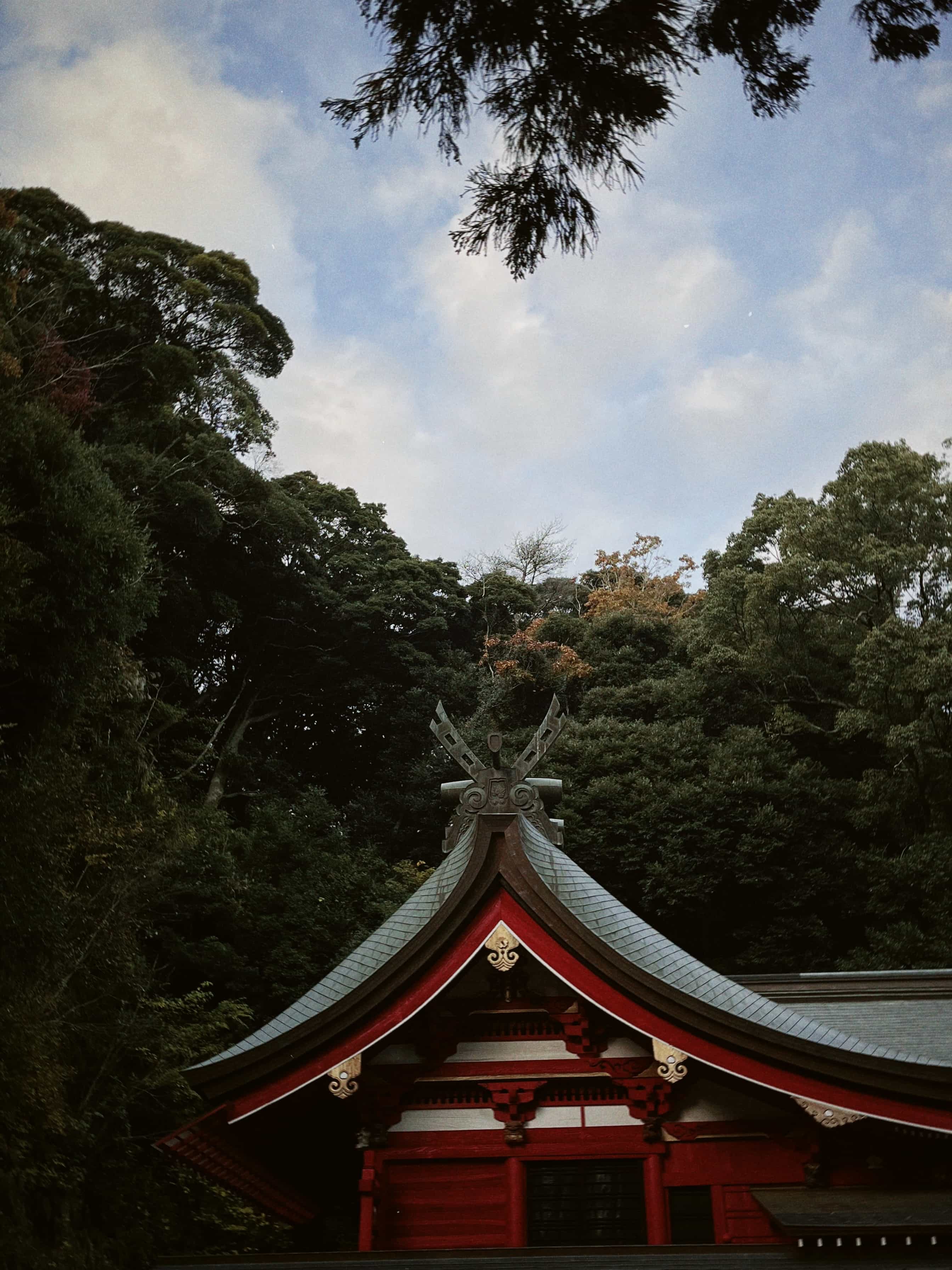 Фото 13 из альбома Japan 2025