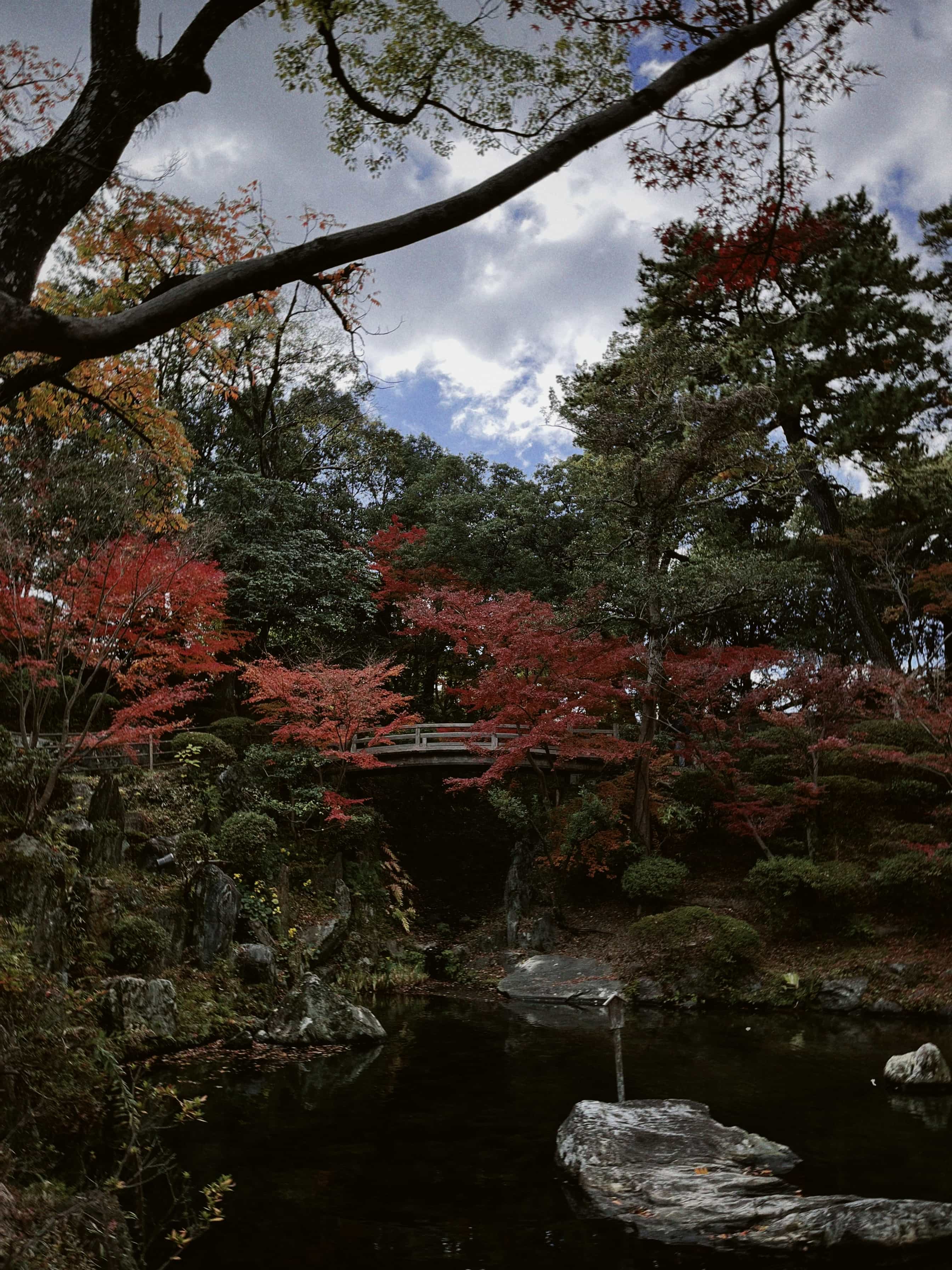 Фото 27 из альбома Japan 2025