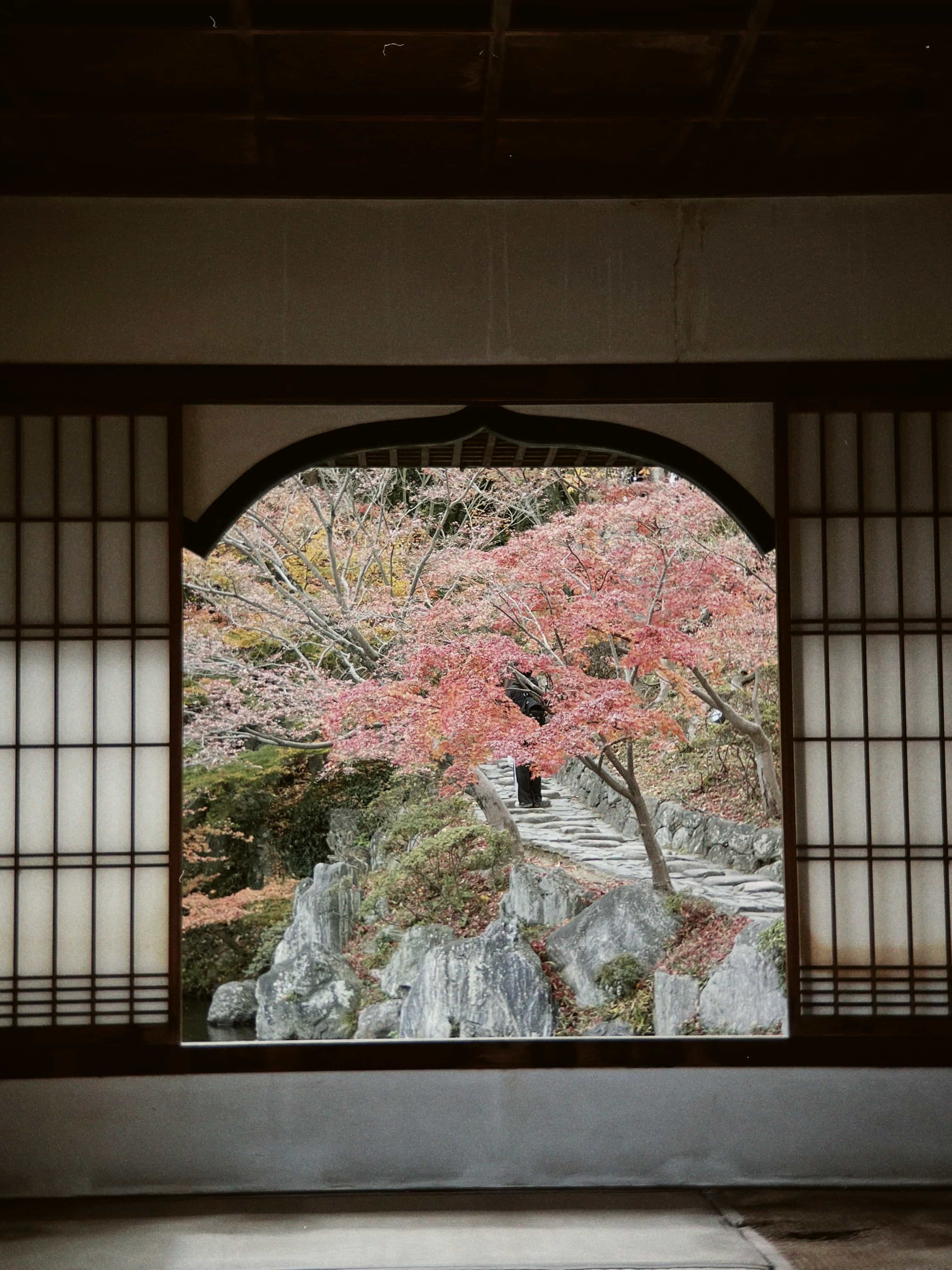 Фото 28 из альбома Japan 2025
