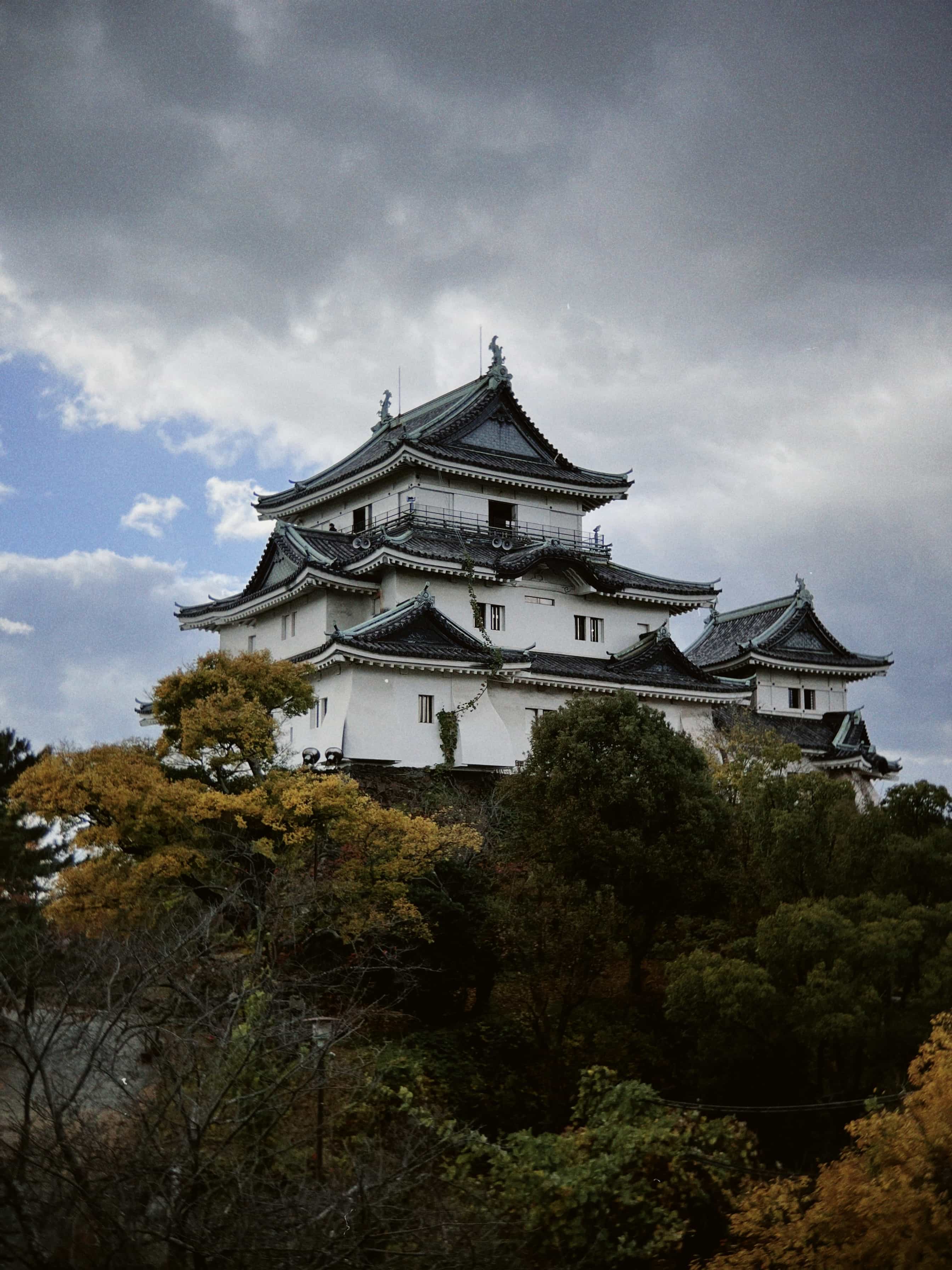 Фото 30 из альбома Japan 2025