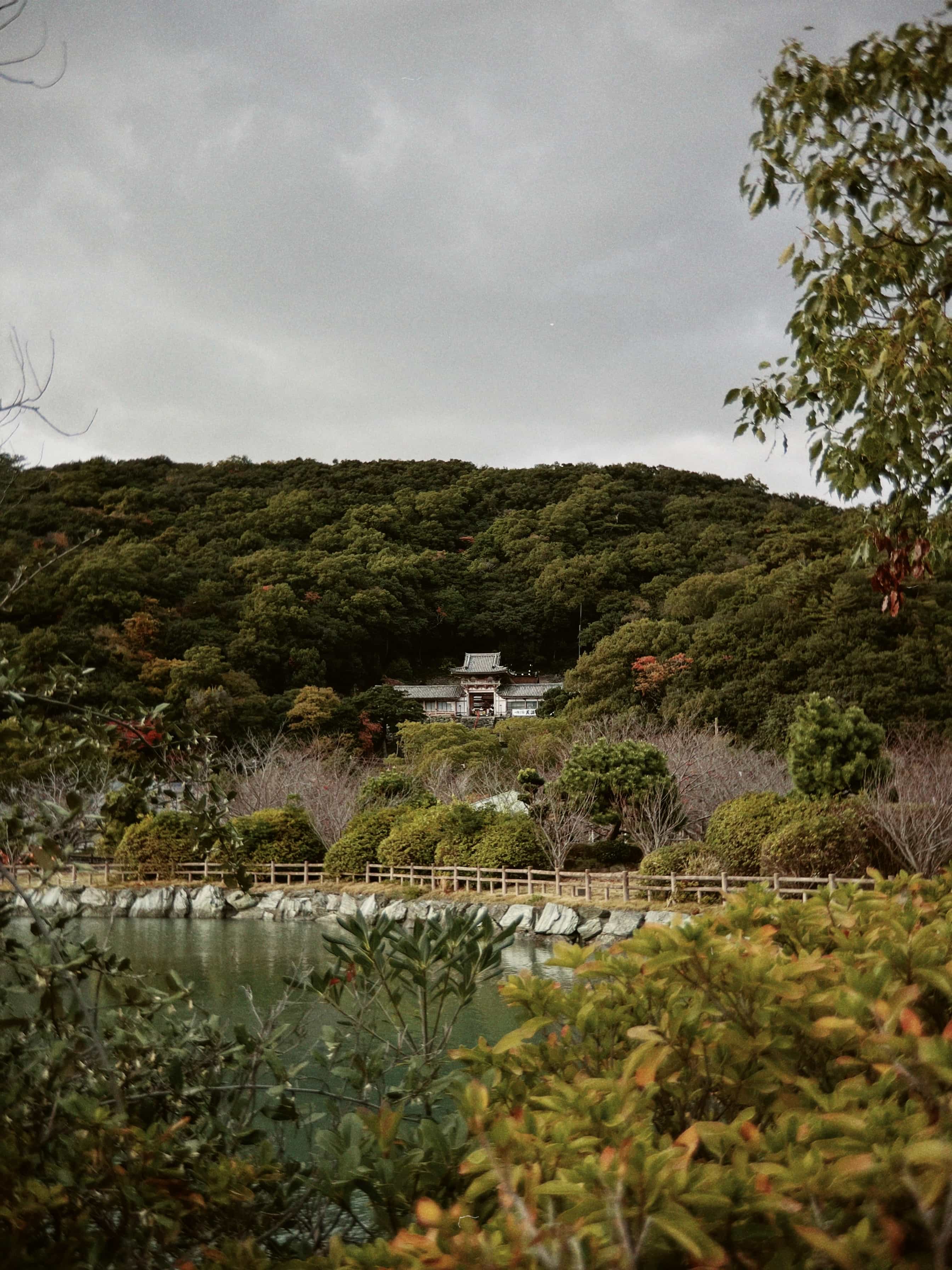 Фото 37 из альбома Japan 2025