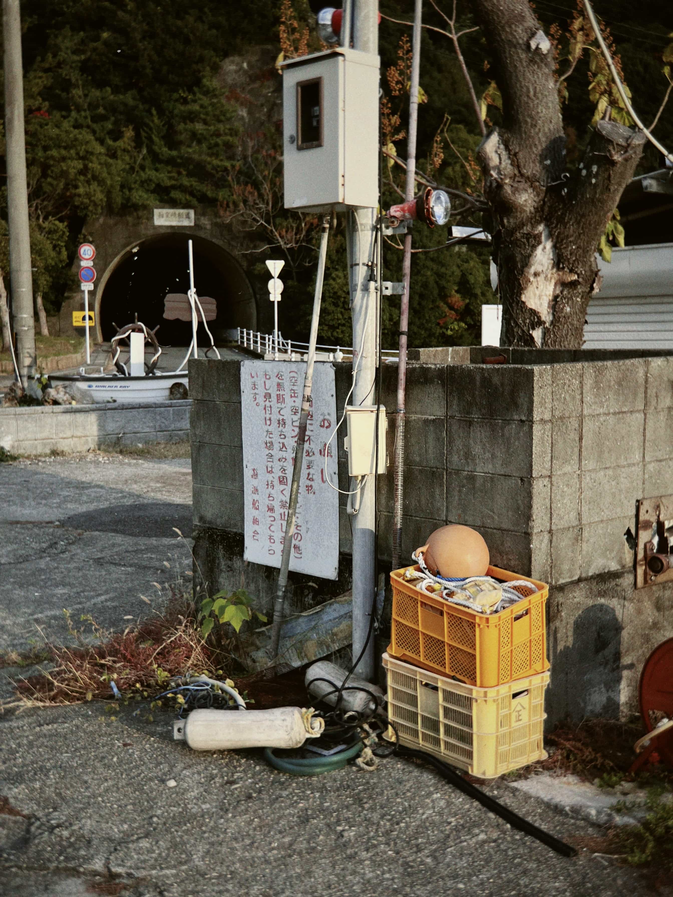 Фото 38 из альбома Japan 2025