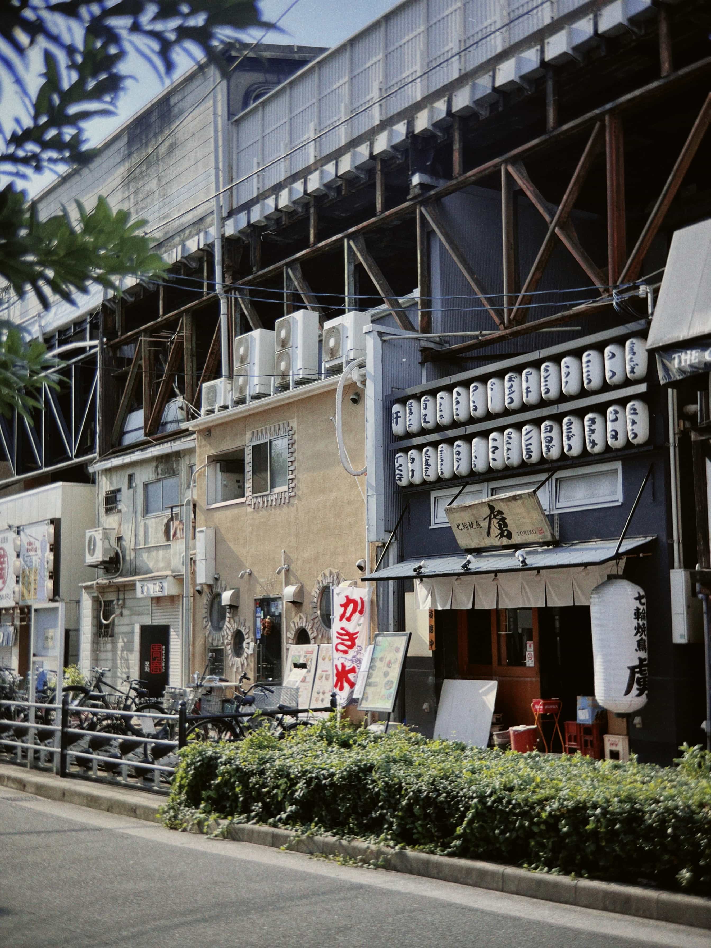 Фото 45 из альбома Japan 2025