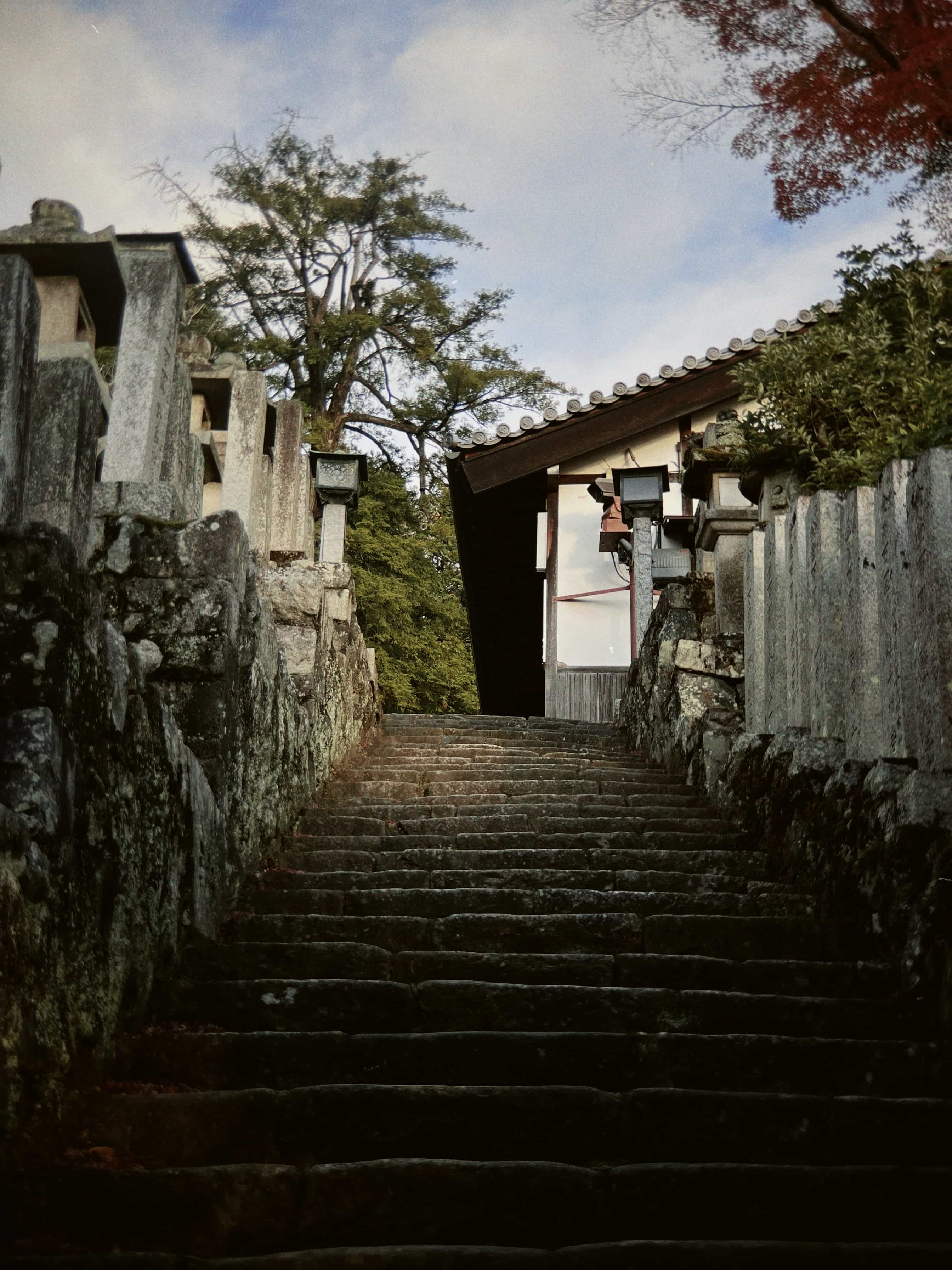 Фото 64 из альбома Japan 2025