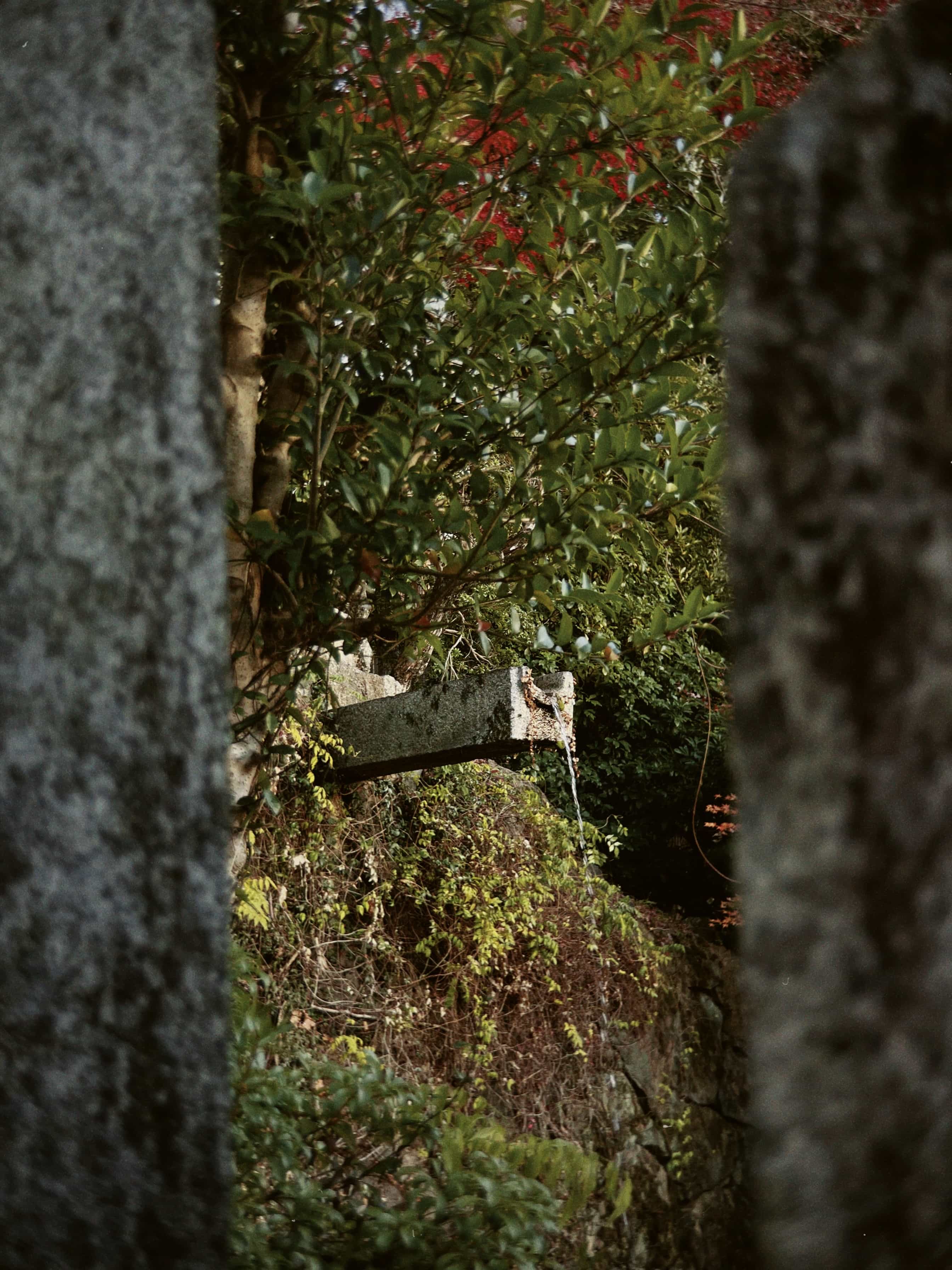 Фото 65 из альбома Japan 2025