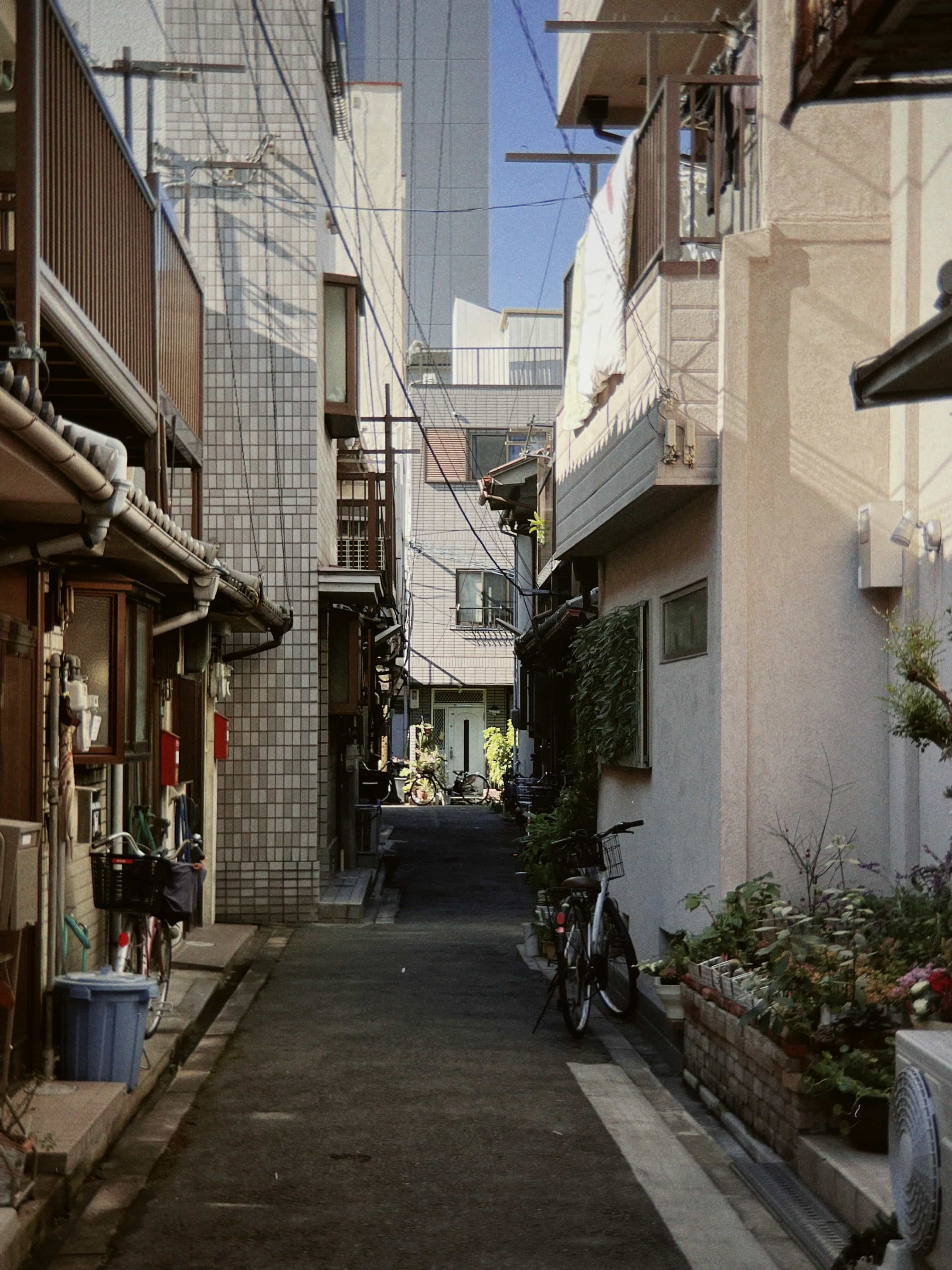 Фото 70 из альбома Japan 2025