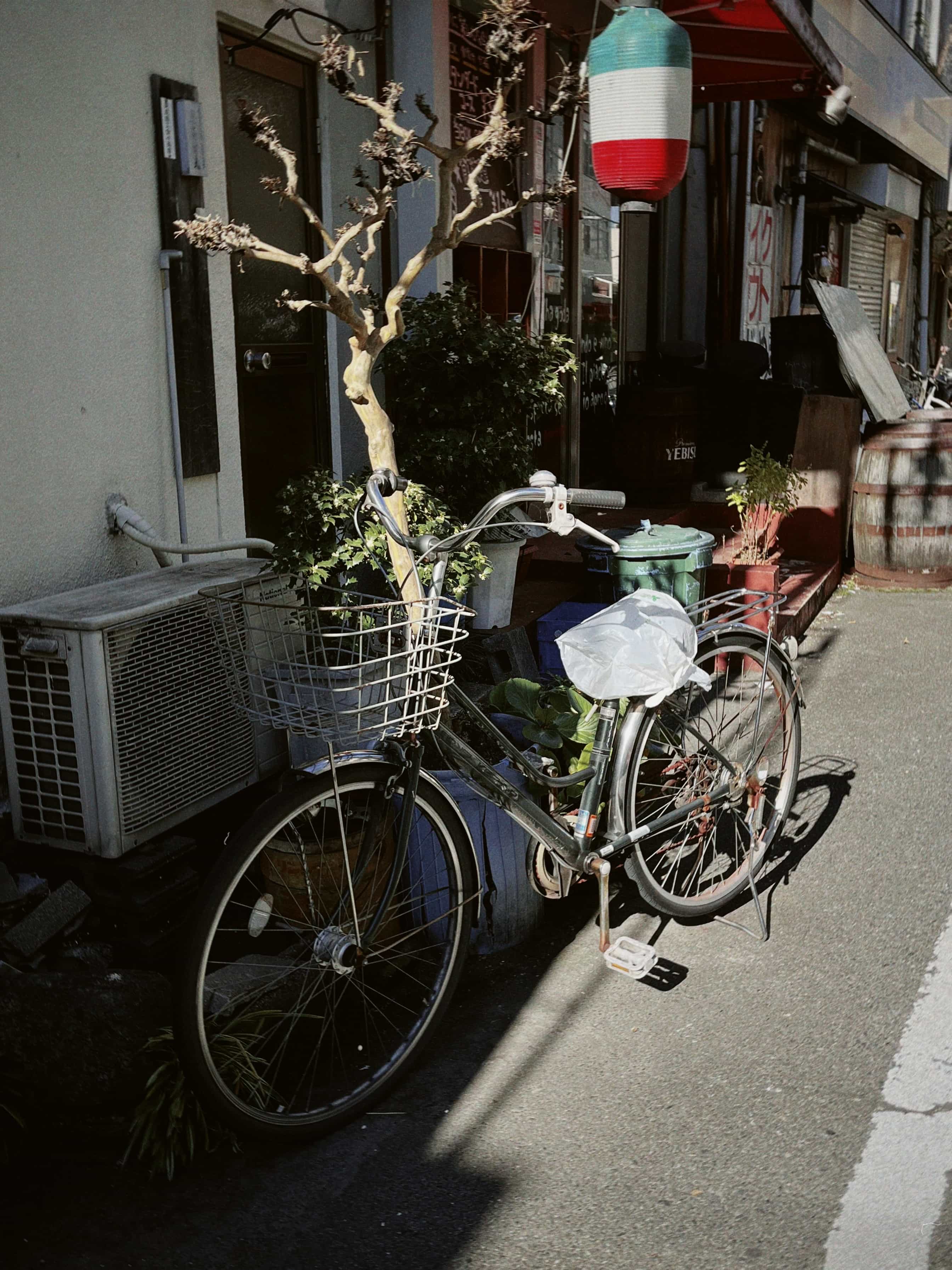 Фото 71 из альбома Japan 2025