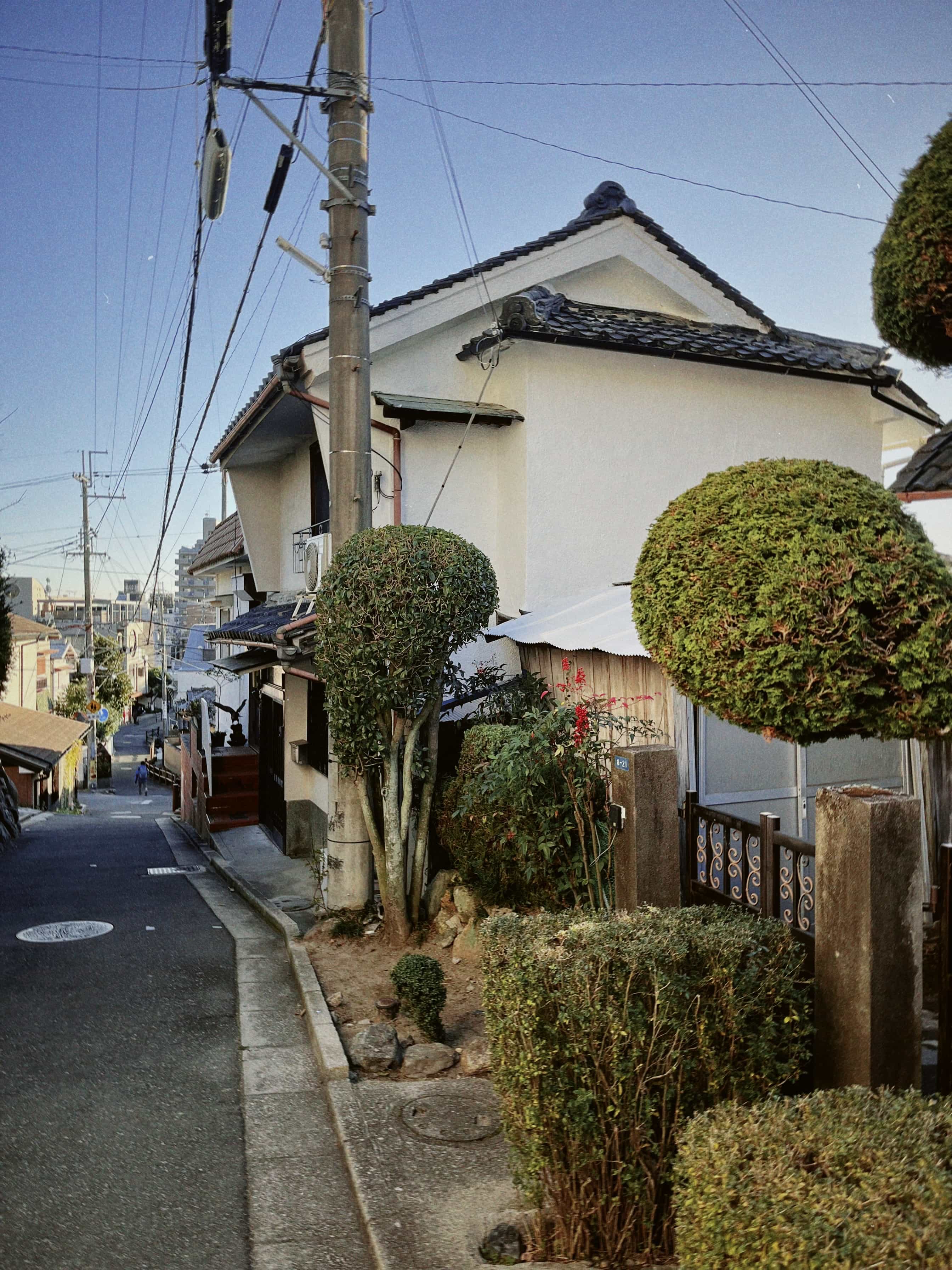 Фото 73 из альбома Japan 2025