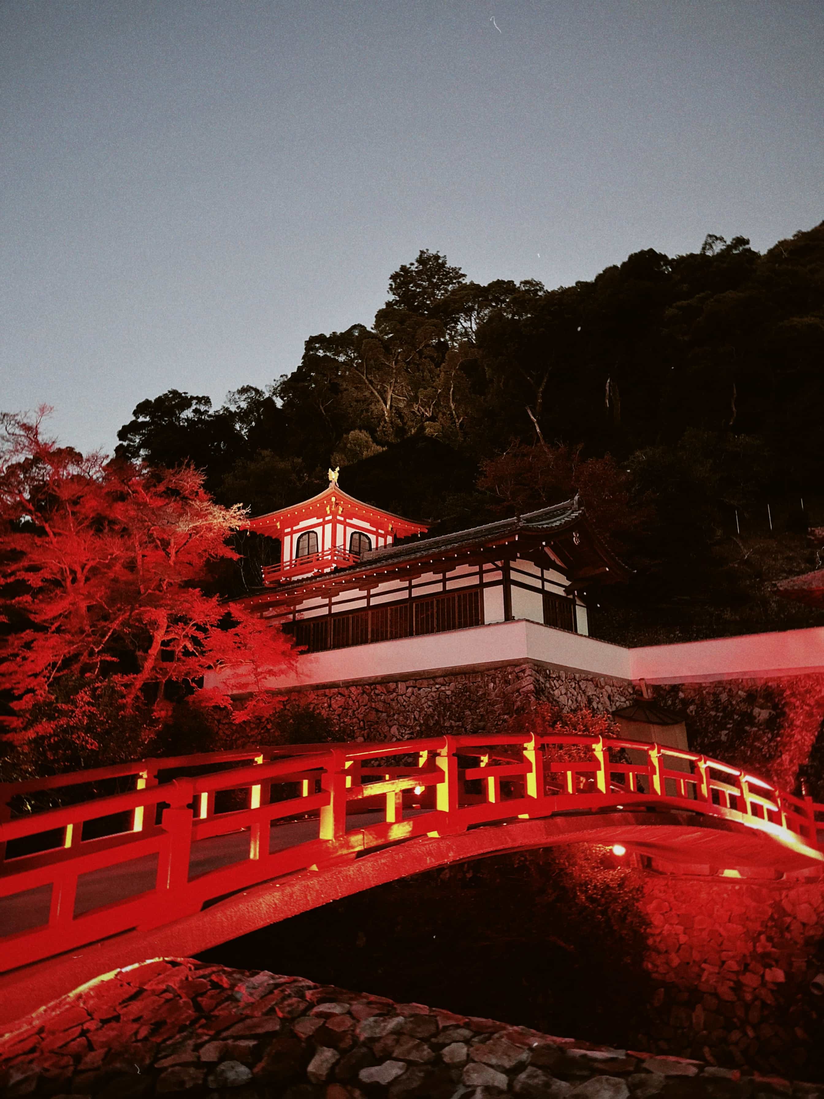 Фото 76 из альбома Japan 2025