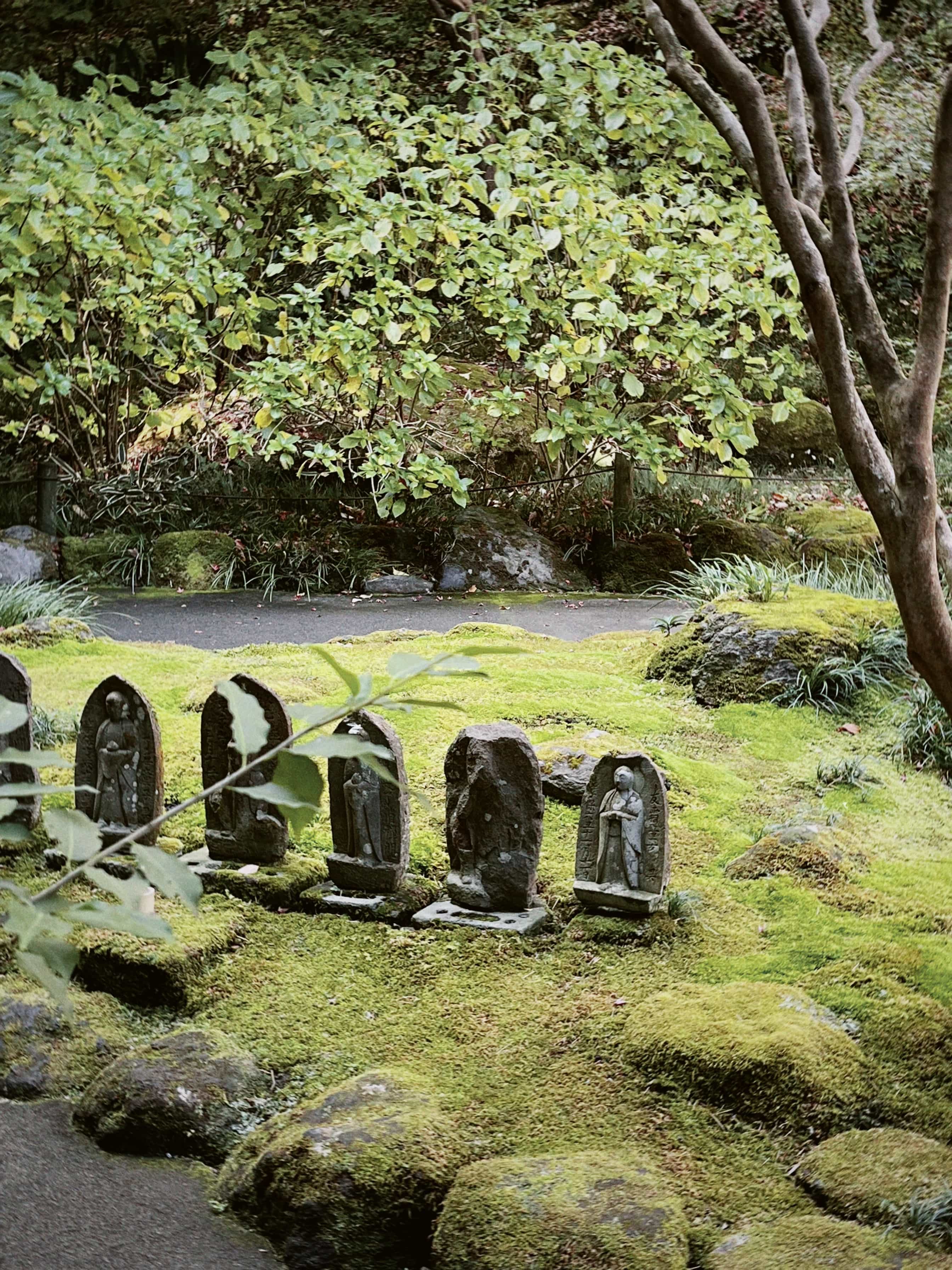 Фото 79 из альбома Japan 2025
