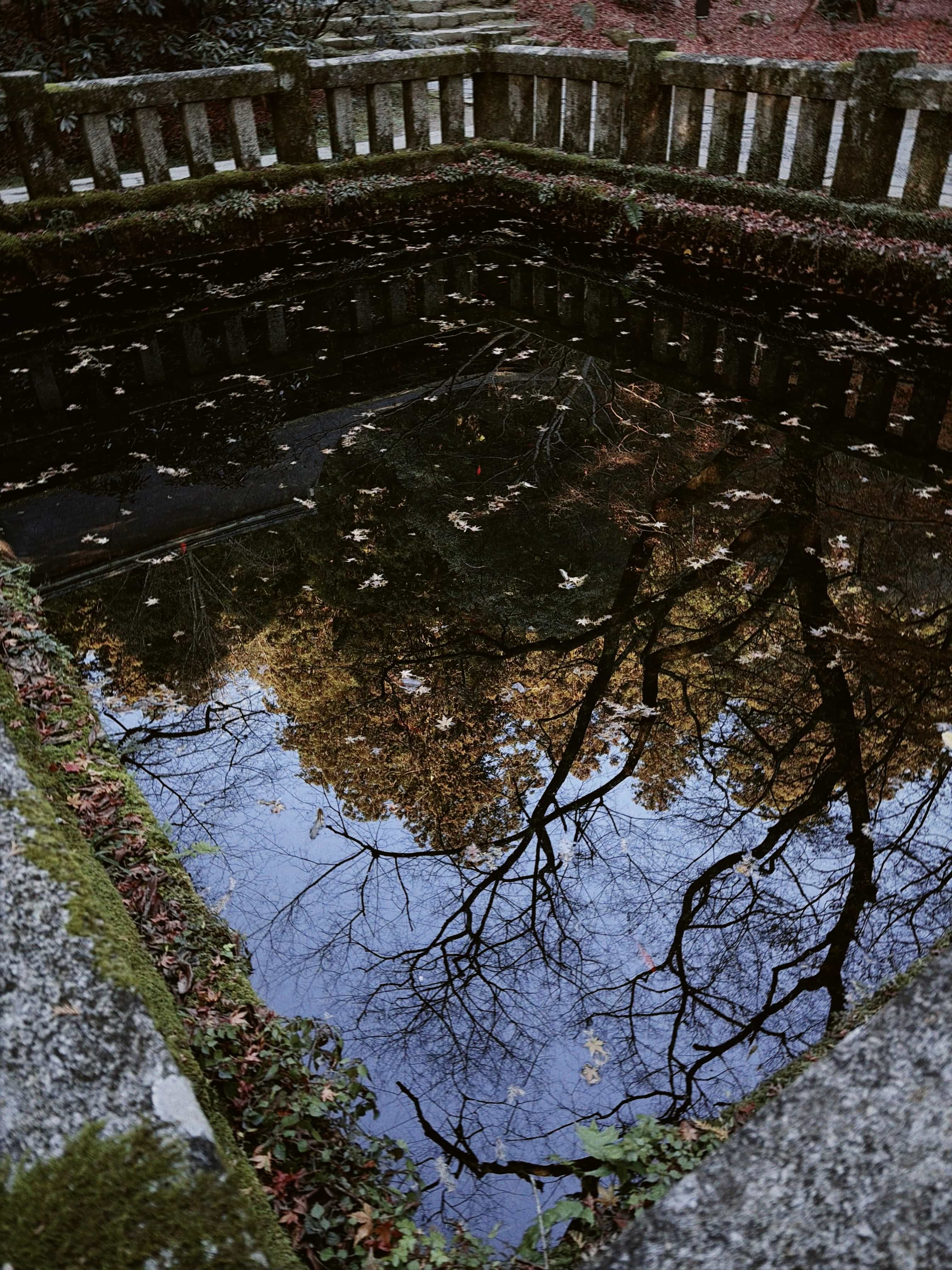 Фото 83 из альбома Japan 2025