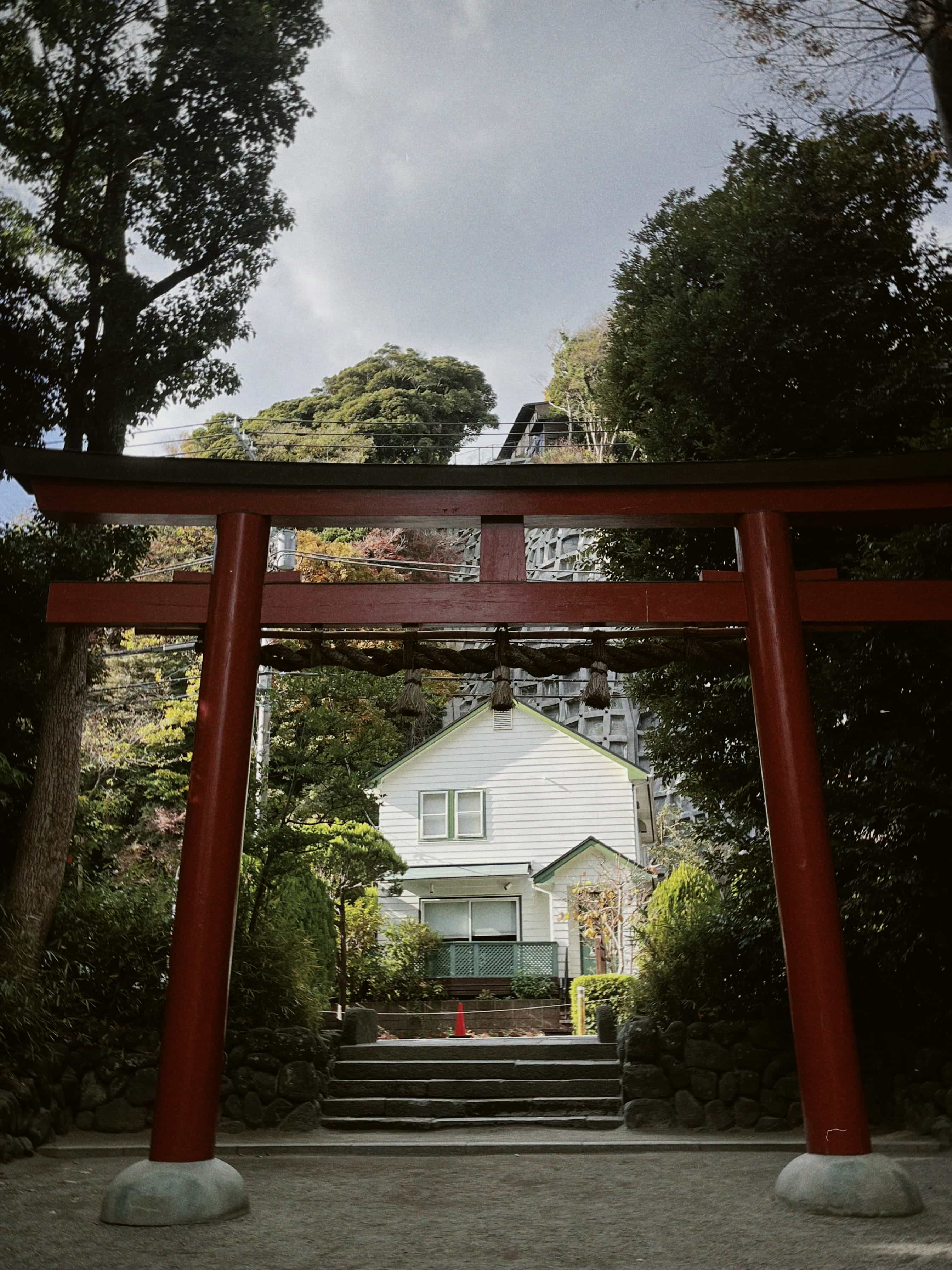 Фото 85 из альбома Japan 2025