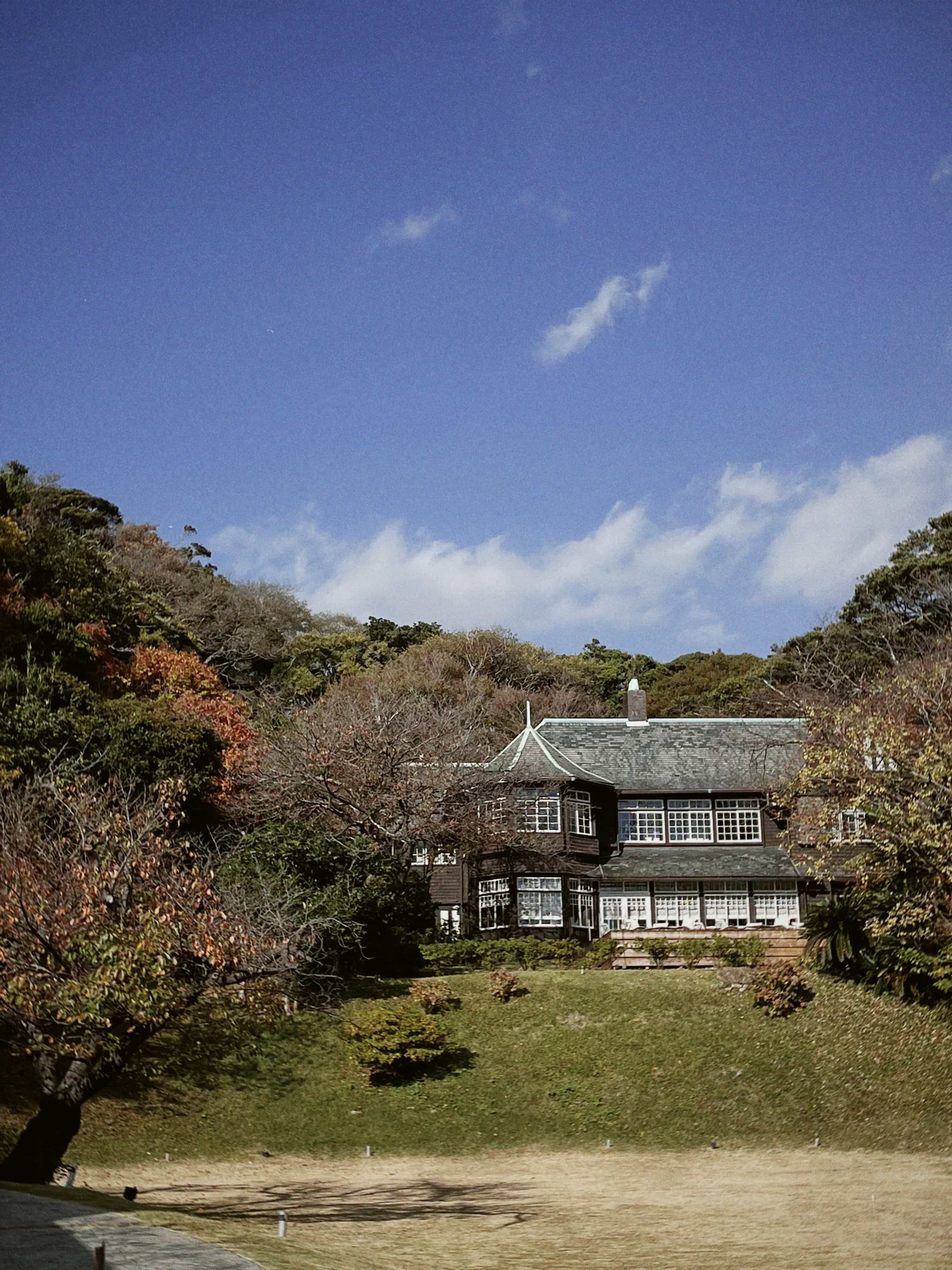 Фото 86 из альбома Japan 2025