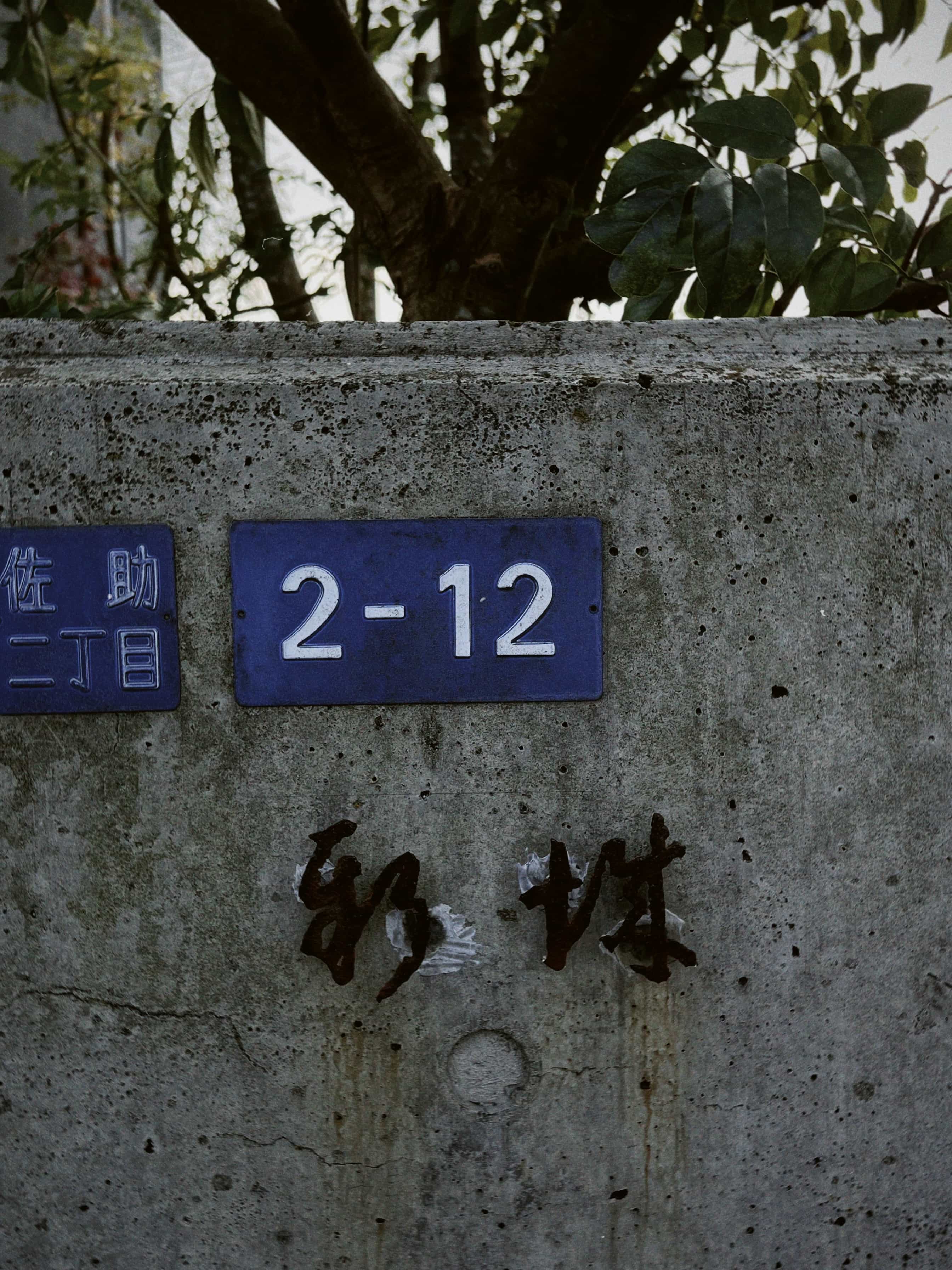 Фото 95 из альбома Japan 2025