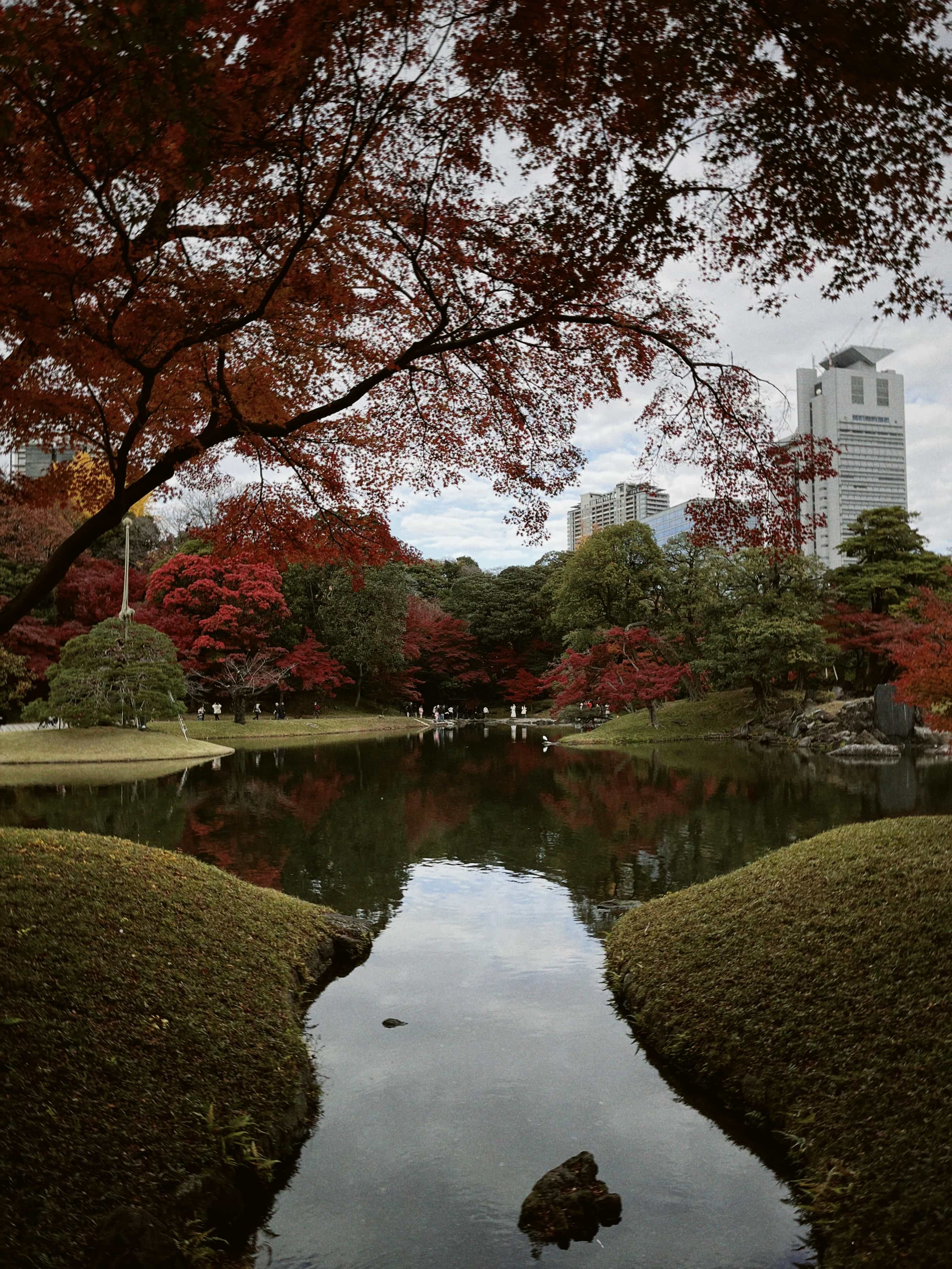 Фото 112 из альбома Japan 2025