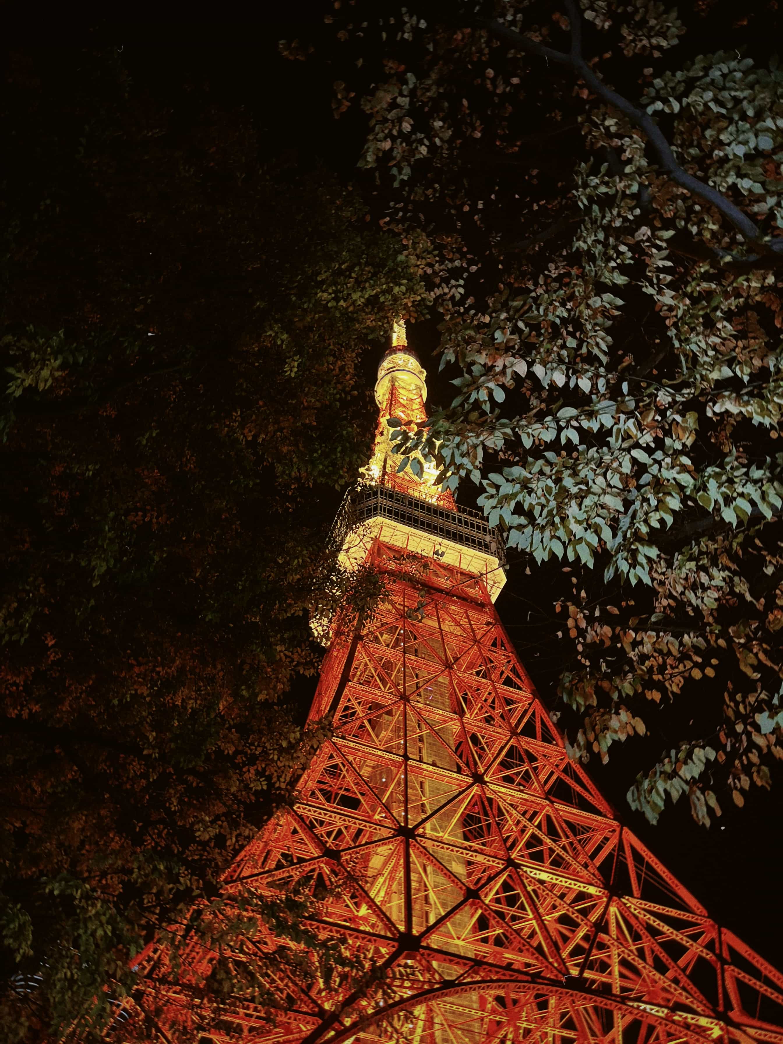 Фото 135 из альбома Japan 2025