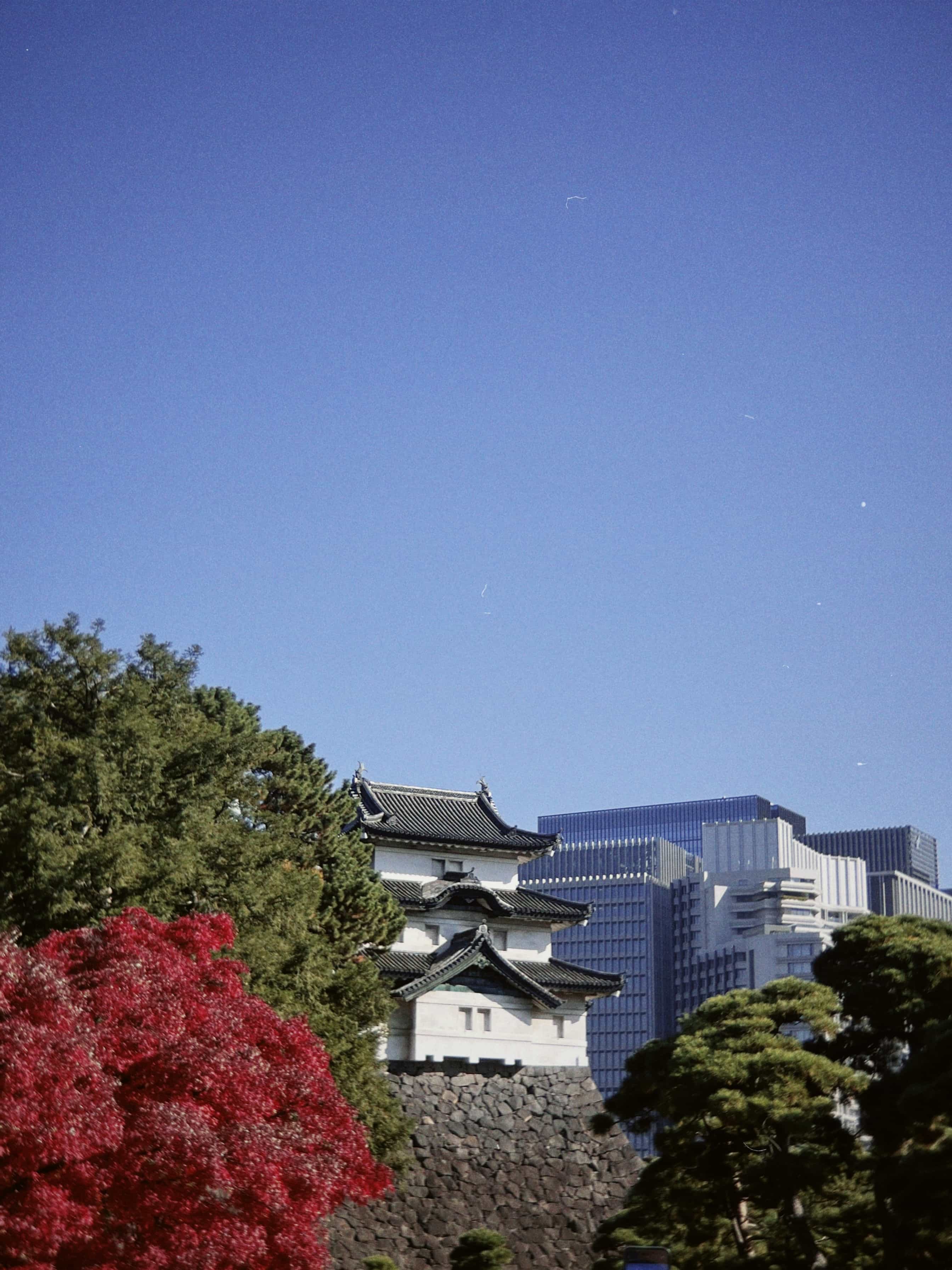 Фото 138 из альбома Japan 2025