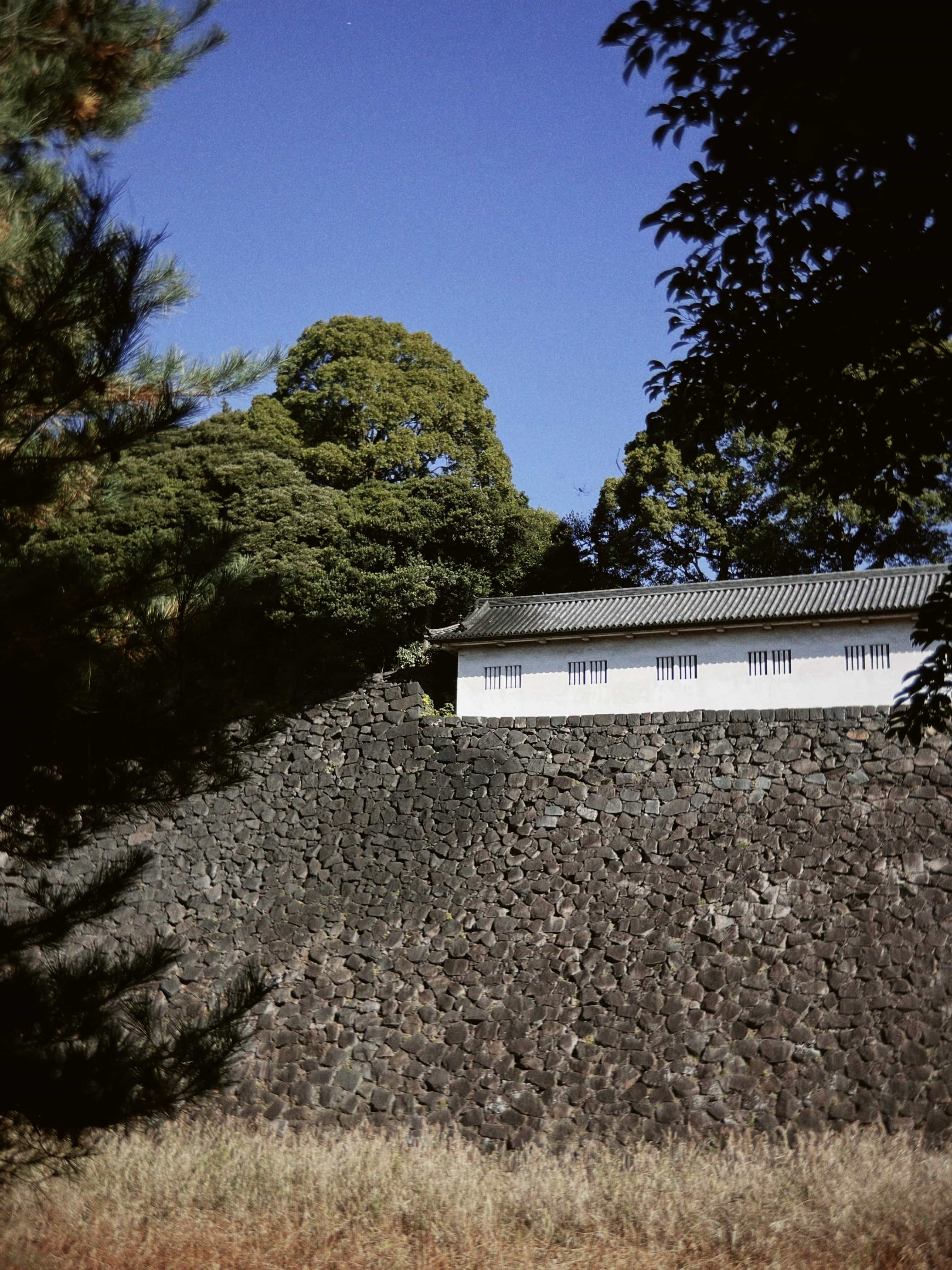 Фото 140 из альбома Japan 2025