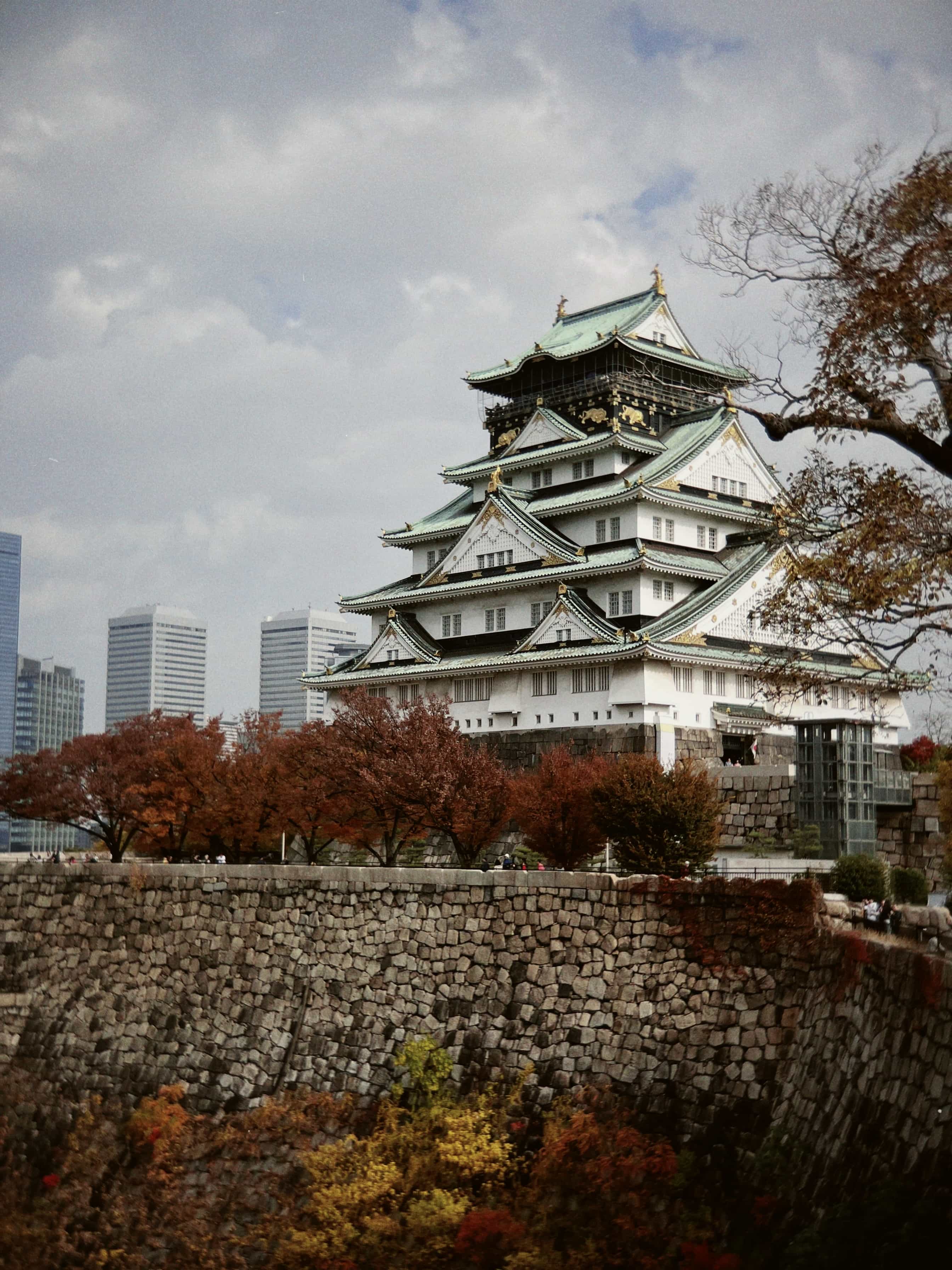 Фото 172 из альбома Japan 2025
