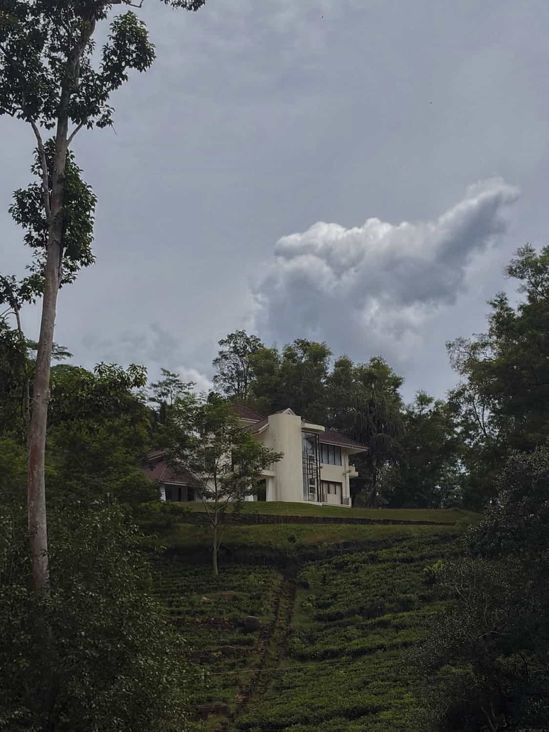 Фото 5 из альбома Sri-Lanka 2026