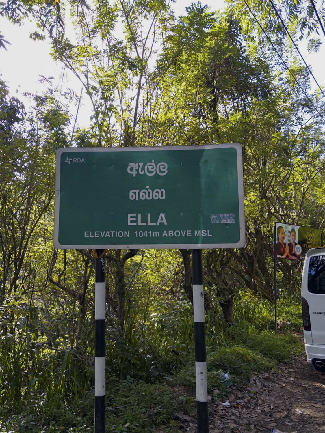 Фото 8 из альбома Sri-Lanka 2026