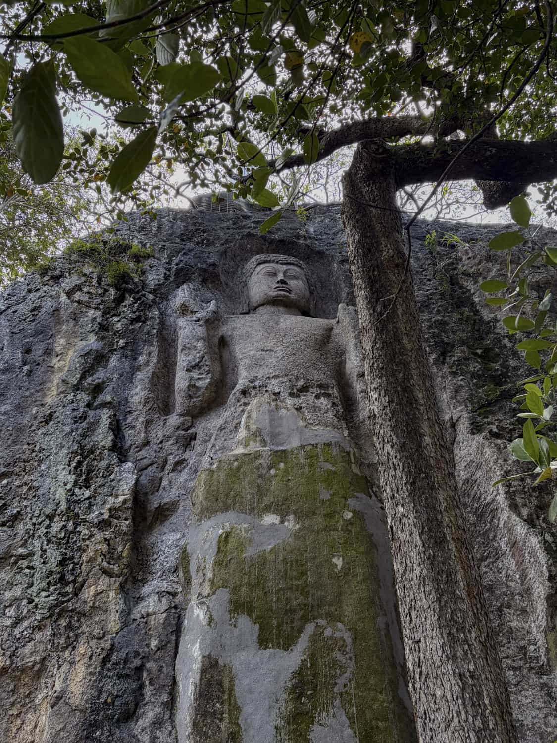 Фото 17 из альбома Sri-Lanka 2026