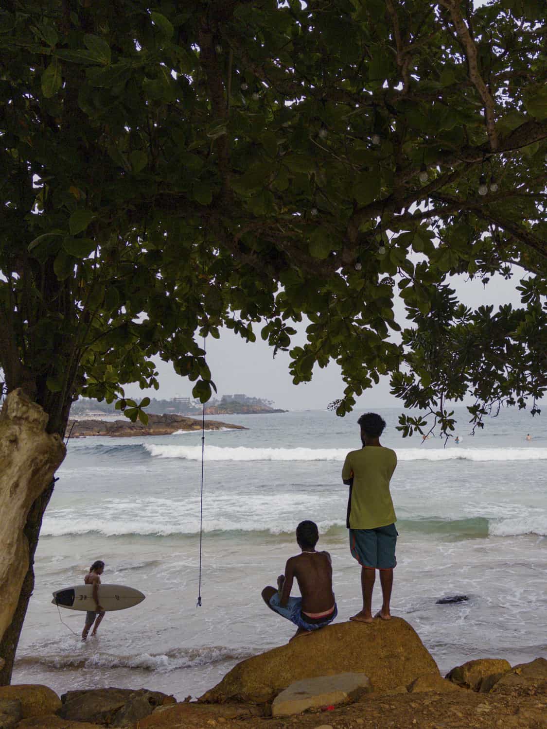 Фото 35 из альбома Sri-Lanka 2026