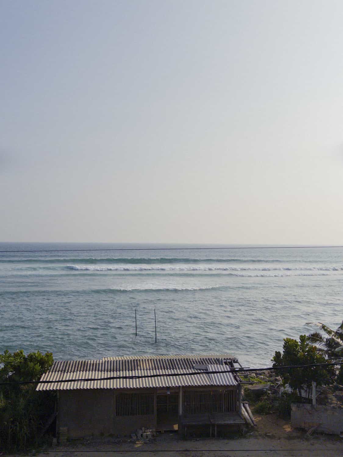 Фото 40 из альбома Sri-Lanka 2026