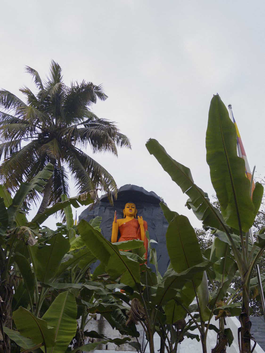 Фото 43 из альбома Sri-Lanka 2026
