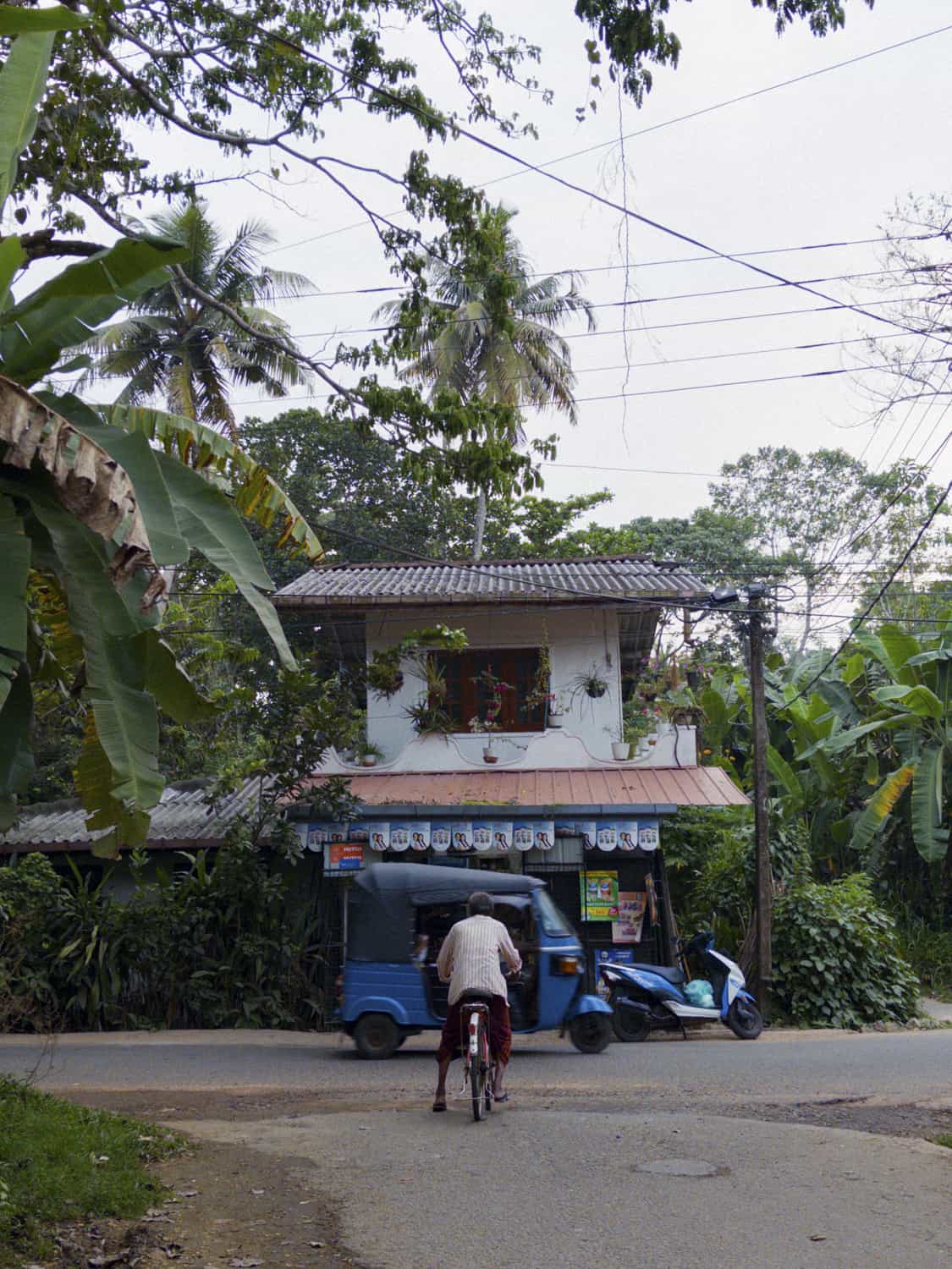 Фото 44 из альбома Sri-Lanka 2026