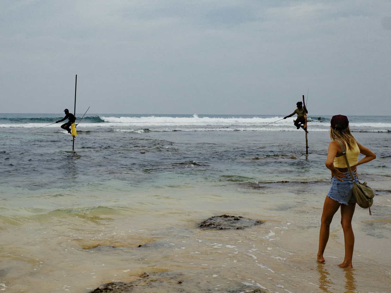 Фото 47 из альбома Sri-Lanka 2026