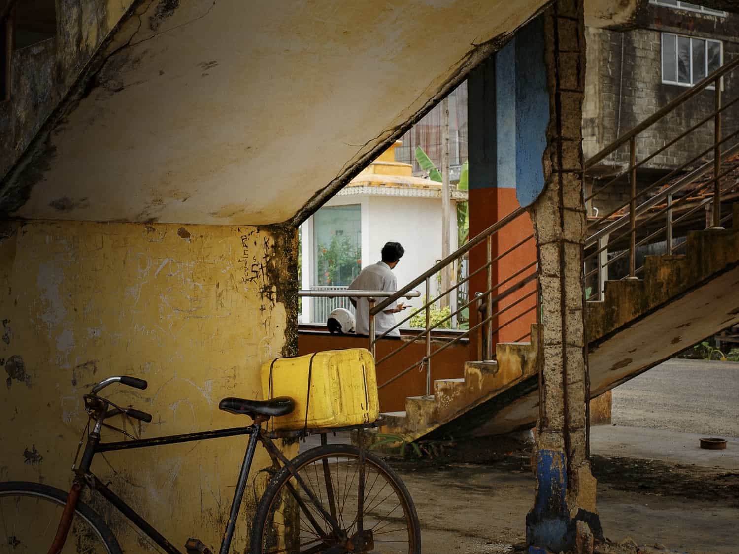 Фото 49 из альбома Sri-Lanka 2026