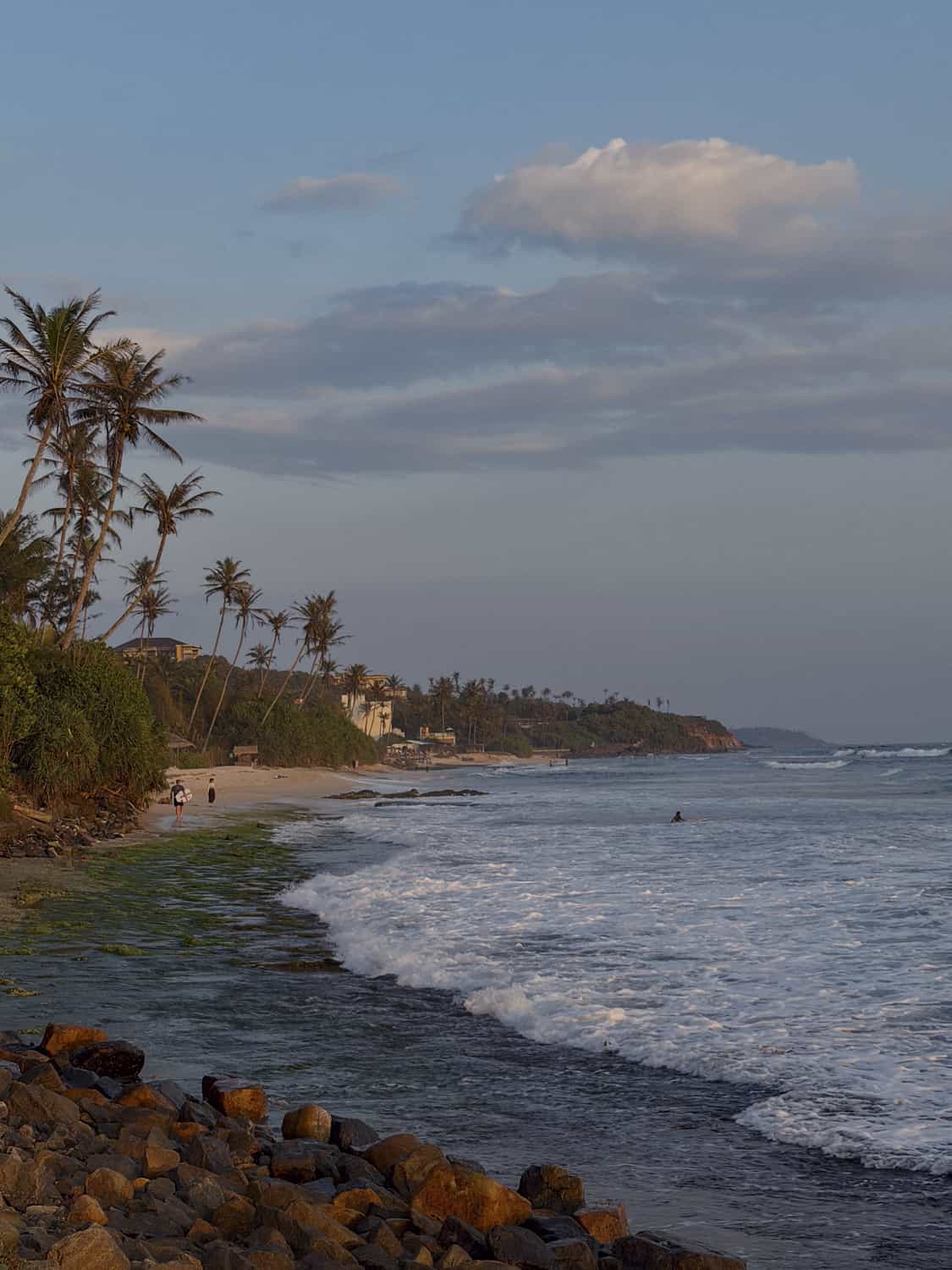 Фото 52 из альбома Sri-Lanka 2026
