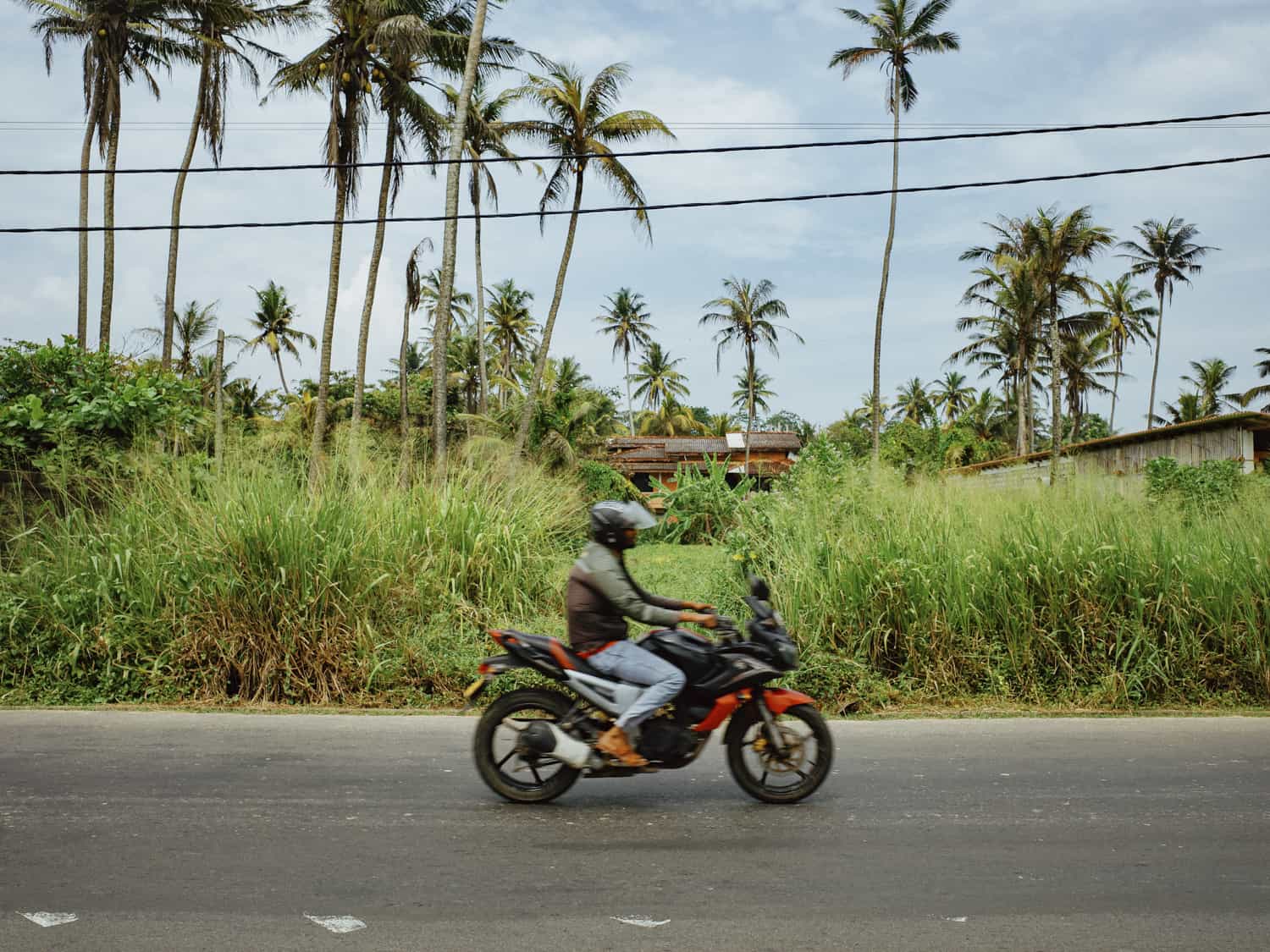 Фото 59 из альбома Sri-Lanka 2026