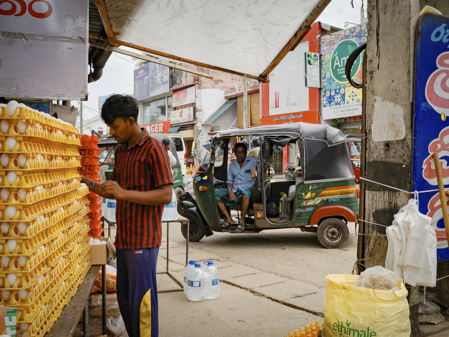 Фото 65 из альбома Sri-Lanka 2026