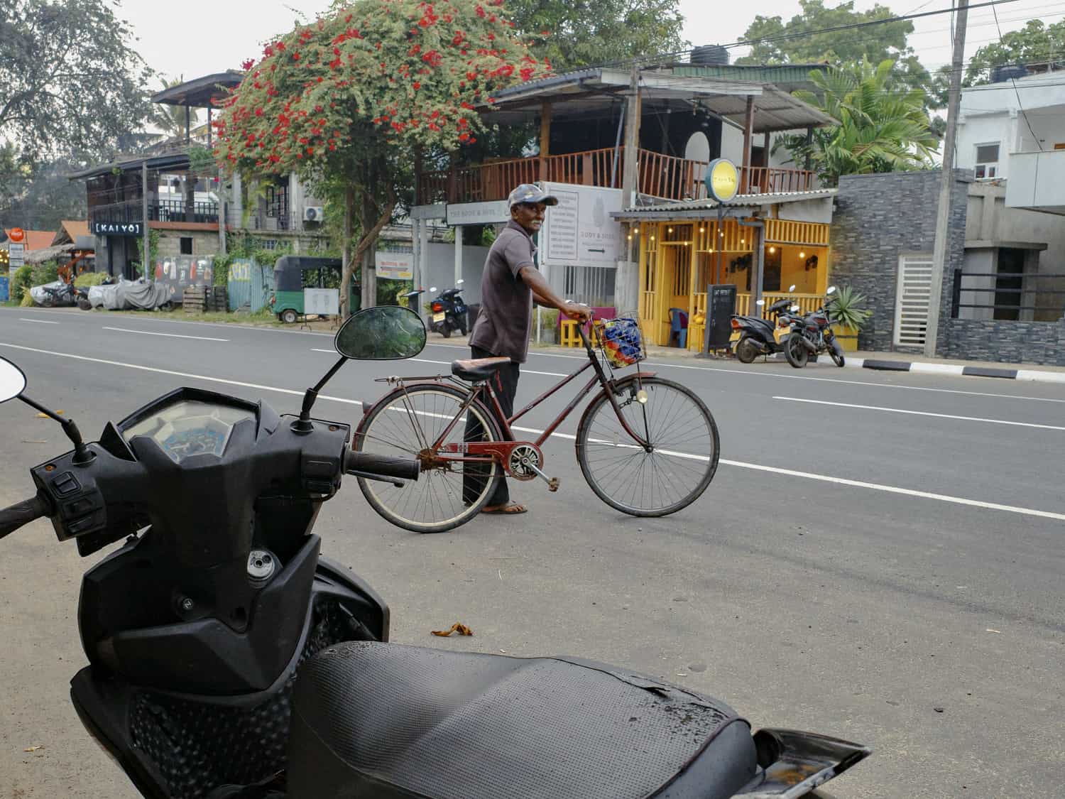 Фото 68 из альбома Sri-Lanka 2026