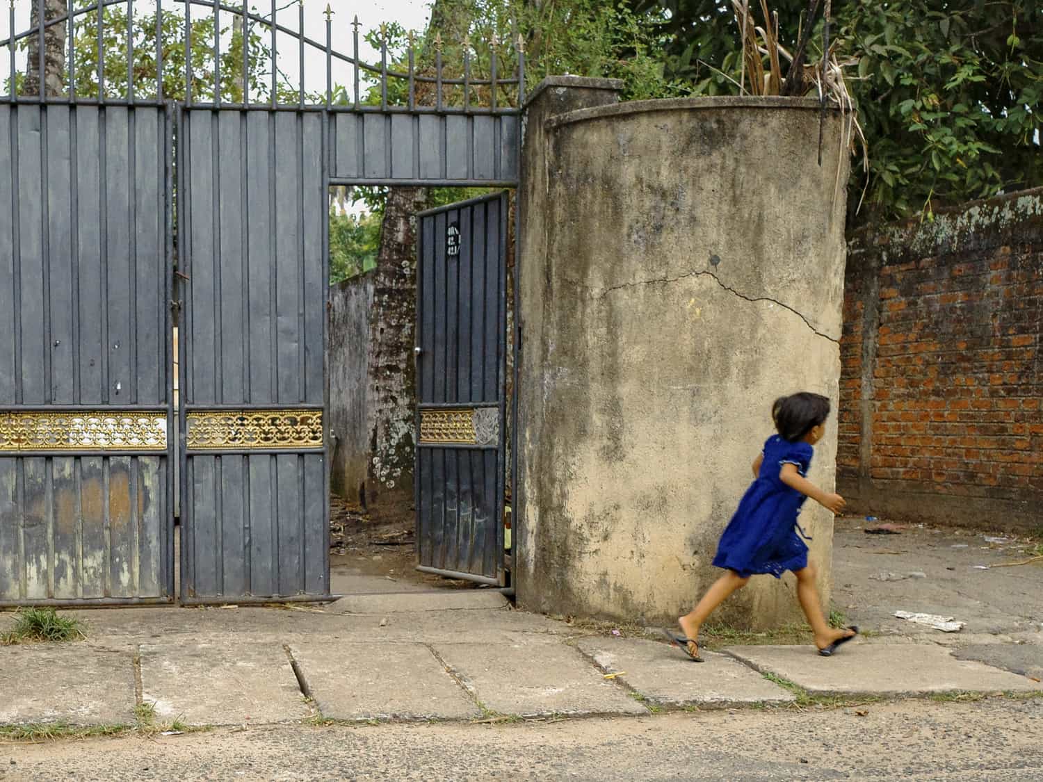 Фото 80 из альбома Sri-Lanka 2026