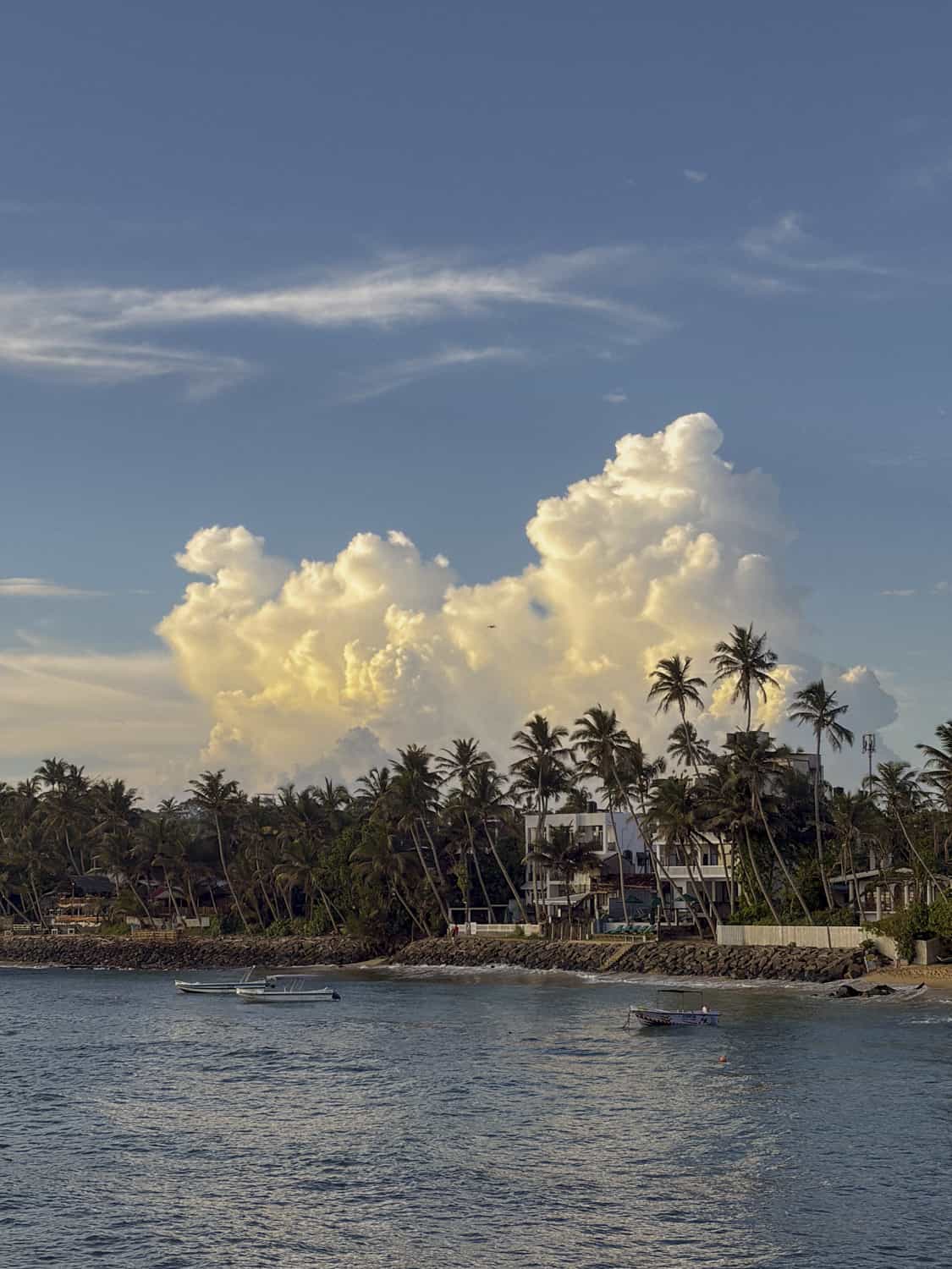 Фото 84 из альбома Sri-Lanka 2026