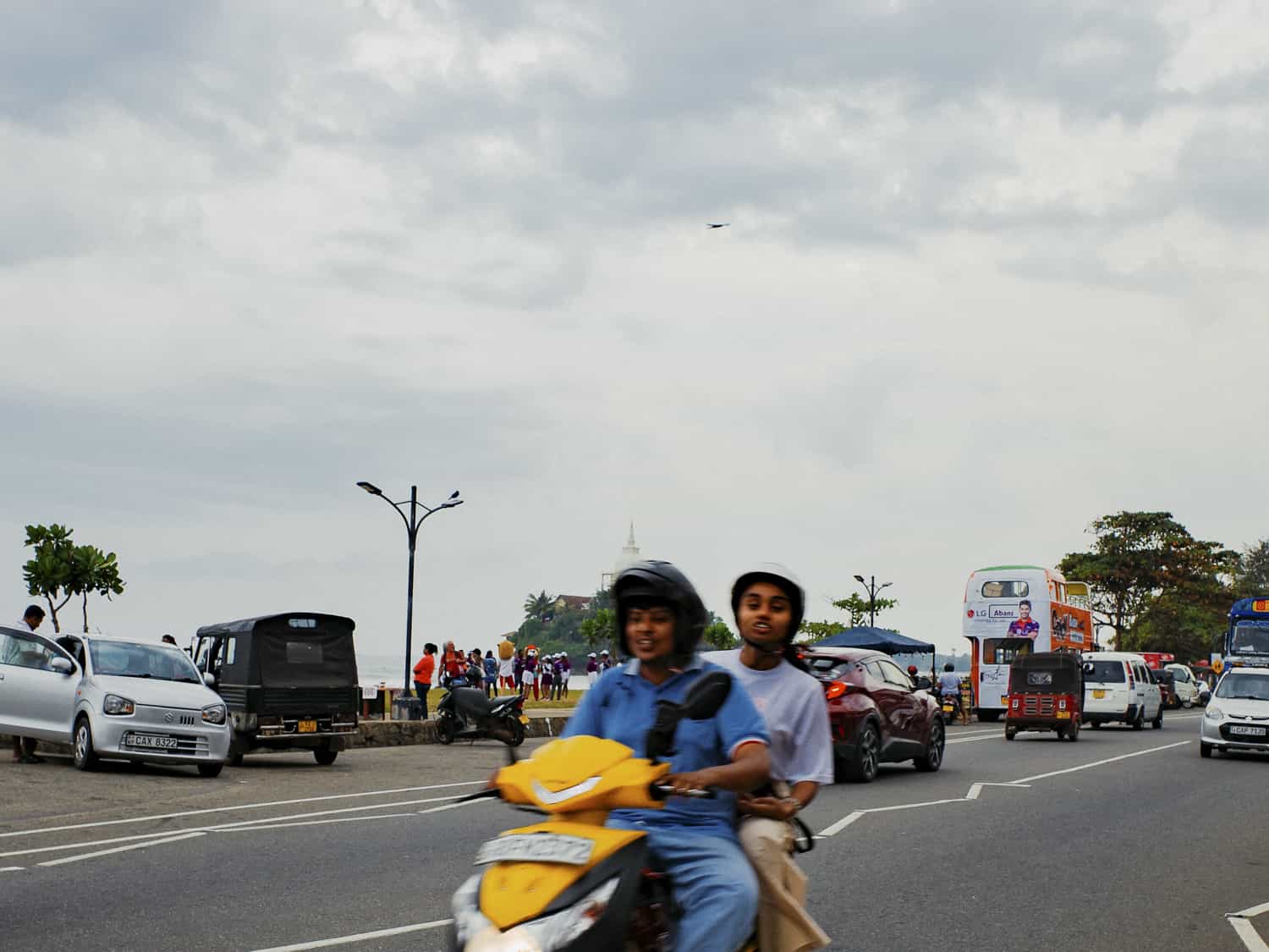 Фото 89 из альбома Sri-Lanka 2026