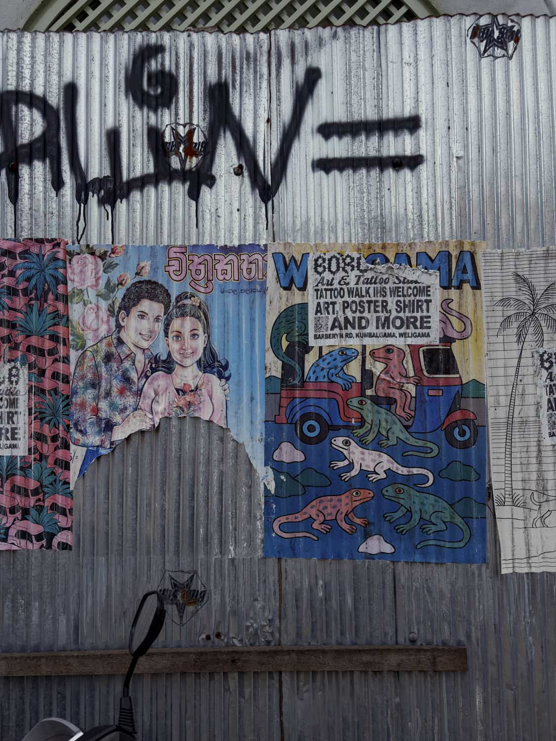 Фото 95 из альбома Sri-Lanka 2026