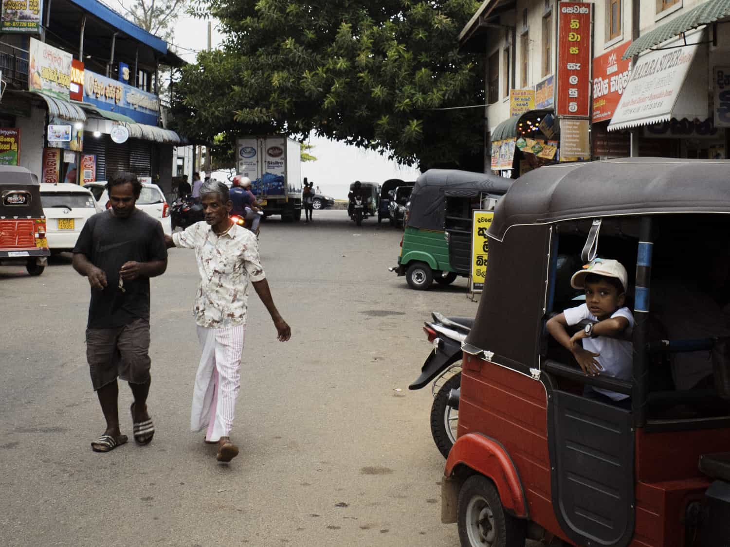 Фото 97 из альбома Sri-Lanka 2026