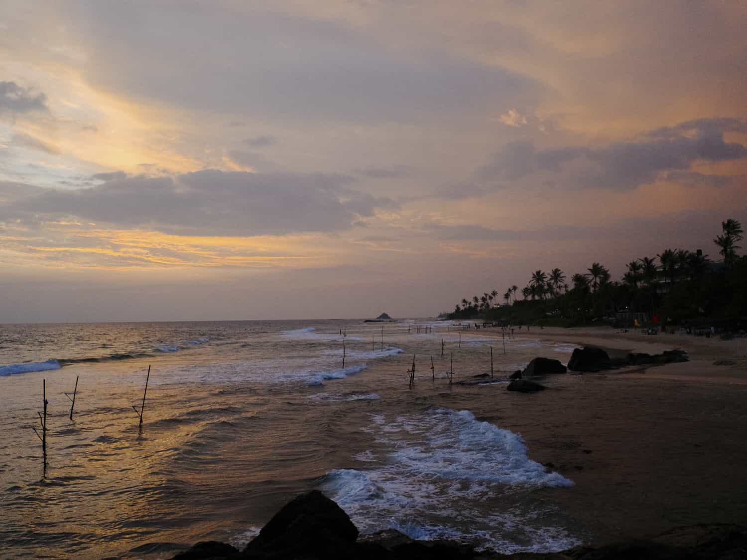 Фото 103 из альбома Sri-Lanka 2026