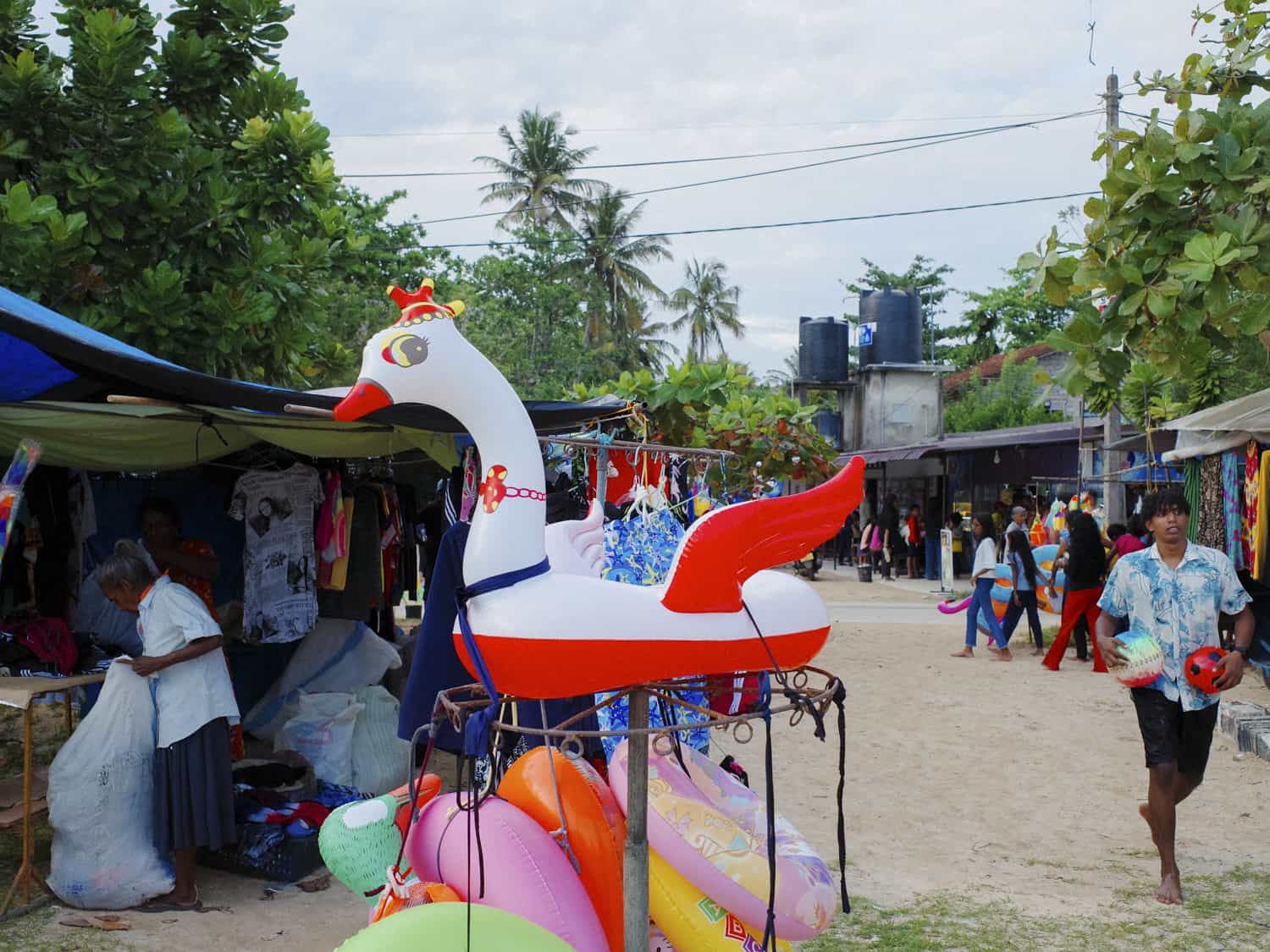 Фото 136 из альбома Sri-Lanka 2026
