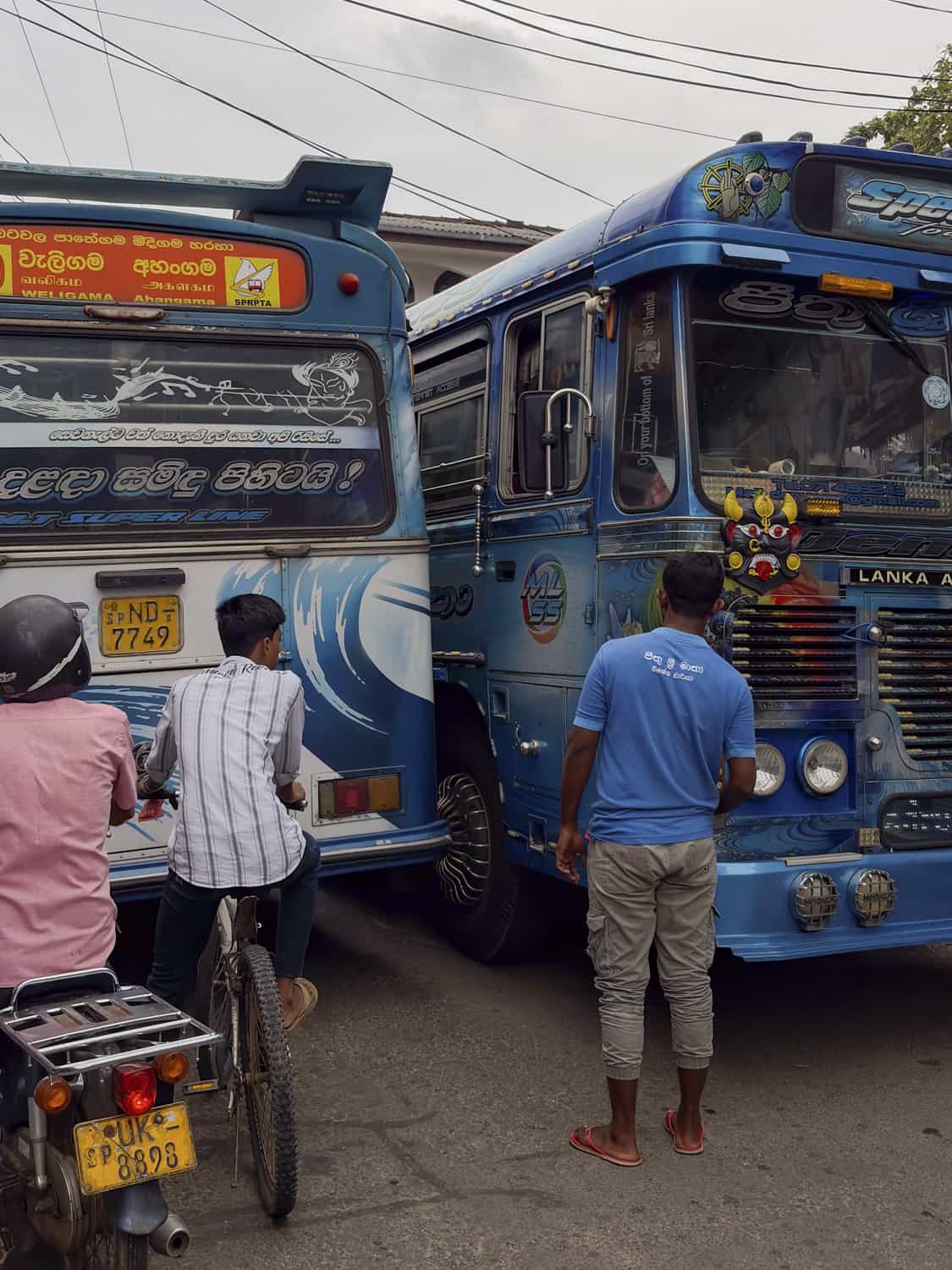 Фото 193 из альбома Sri-Lanka 2026
